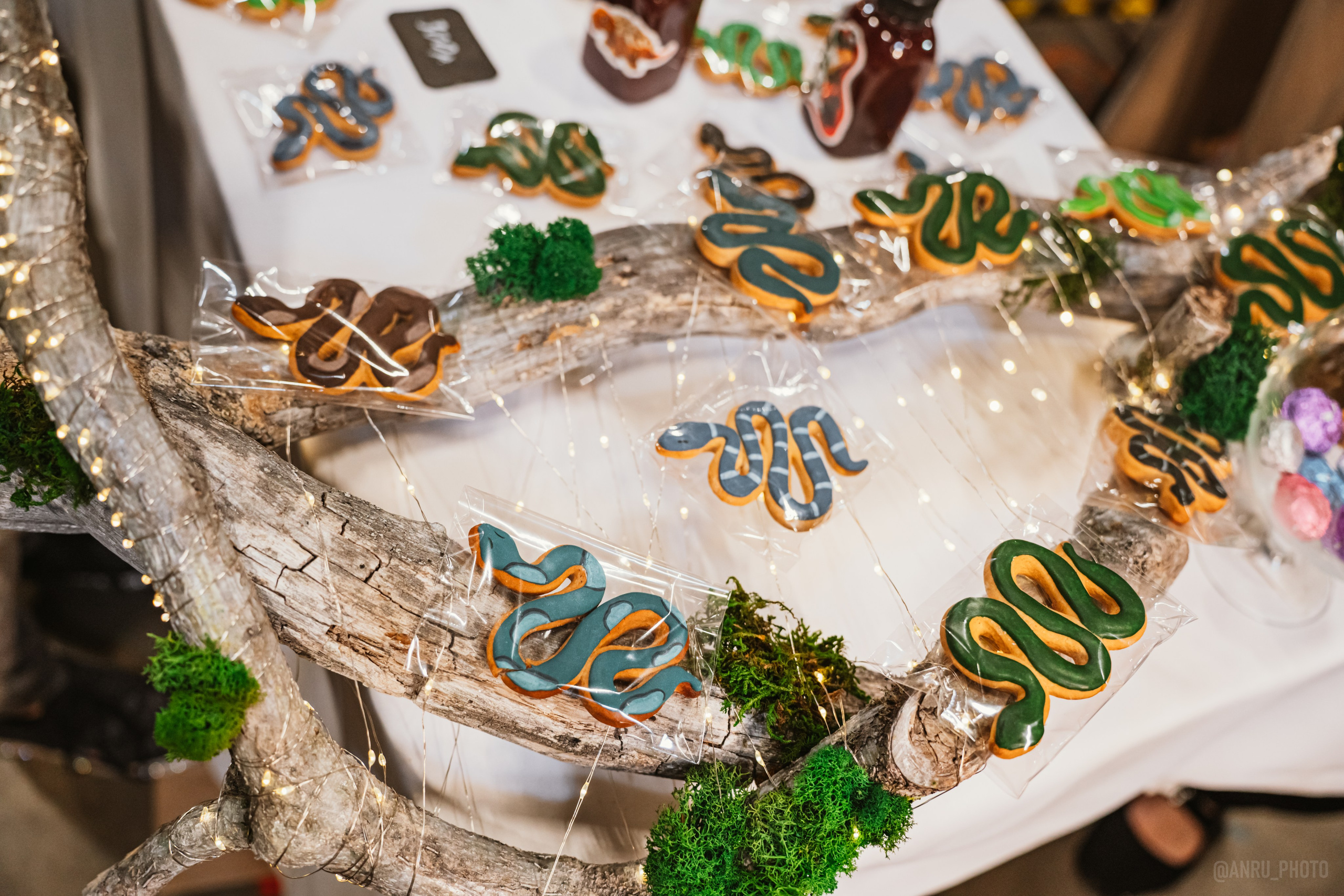 Рептилиум (ручная работа). Репортажный фотограф Анастасия Рубцова