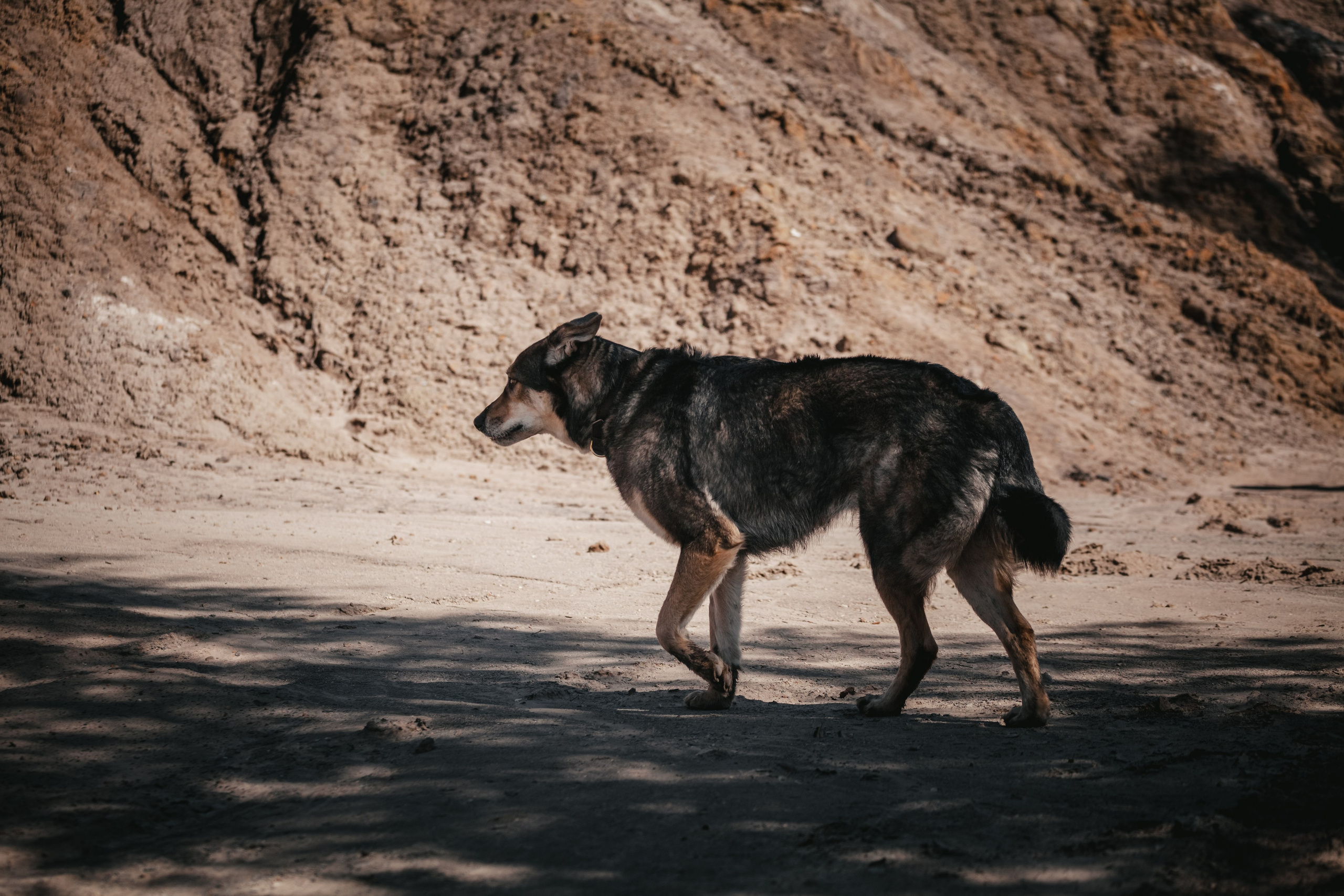 Кондуки. Фотограф-анималист Татьяна Степанова