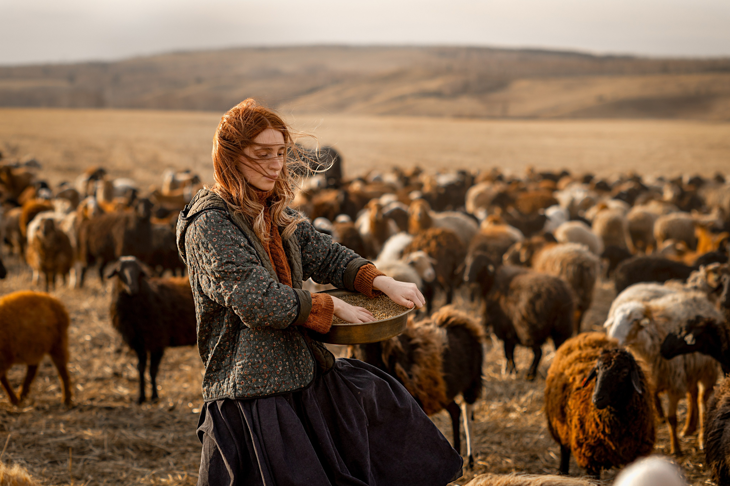 Диана и барашки. Детский и семейный фотограф в Красноярске Елена Коровкина