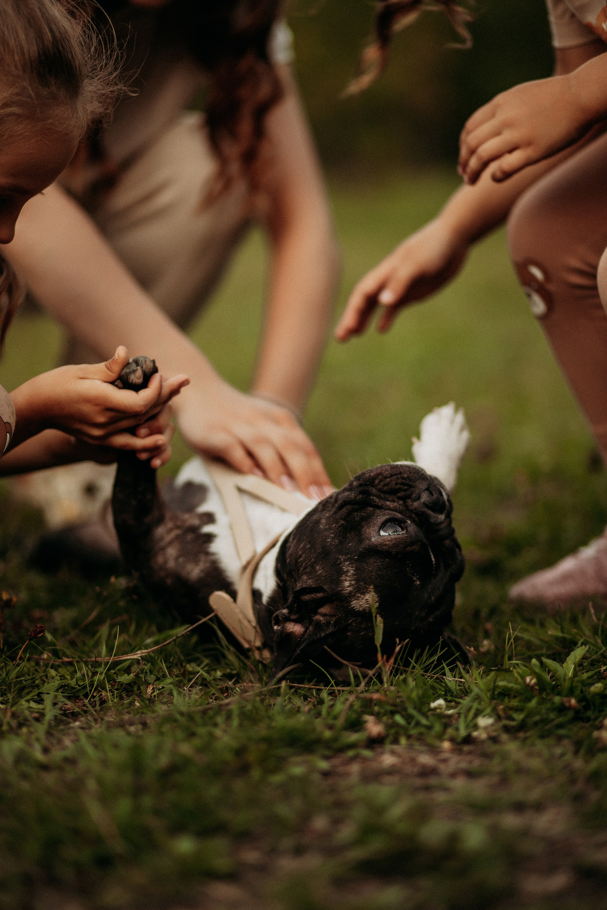 Большая семья. Фотограф Тимербаева Алина г. Сургут