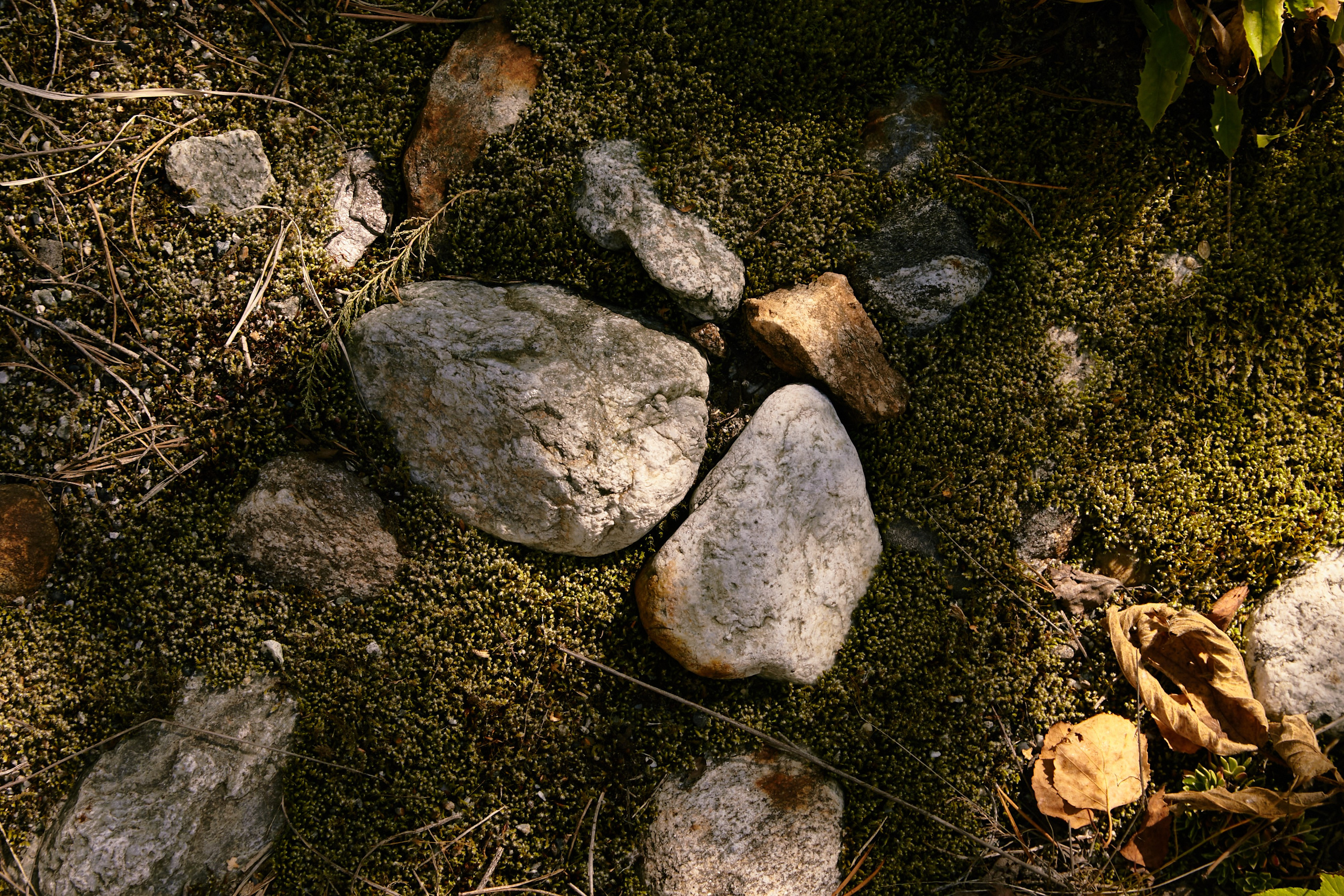 Чегем, дорога к леднику Шаурту. Фотограф Продюсер в горах КБР / Москва  Нальчик Горы