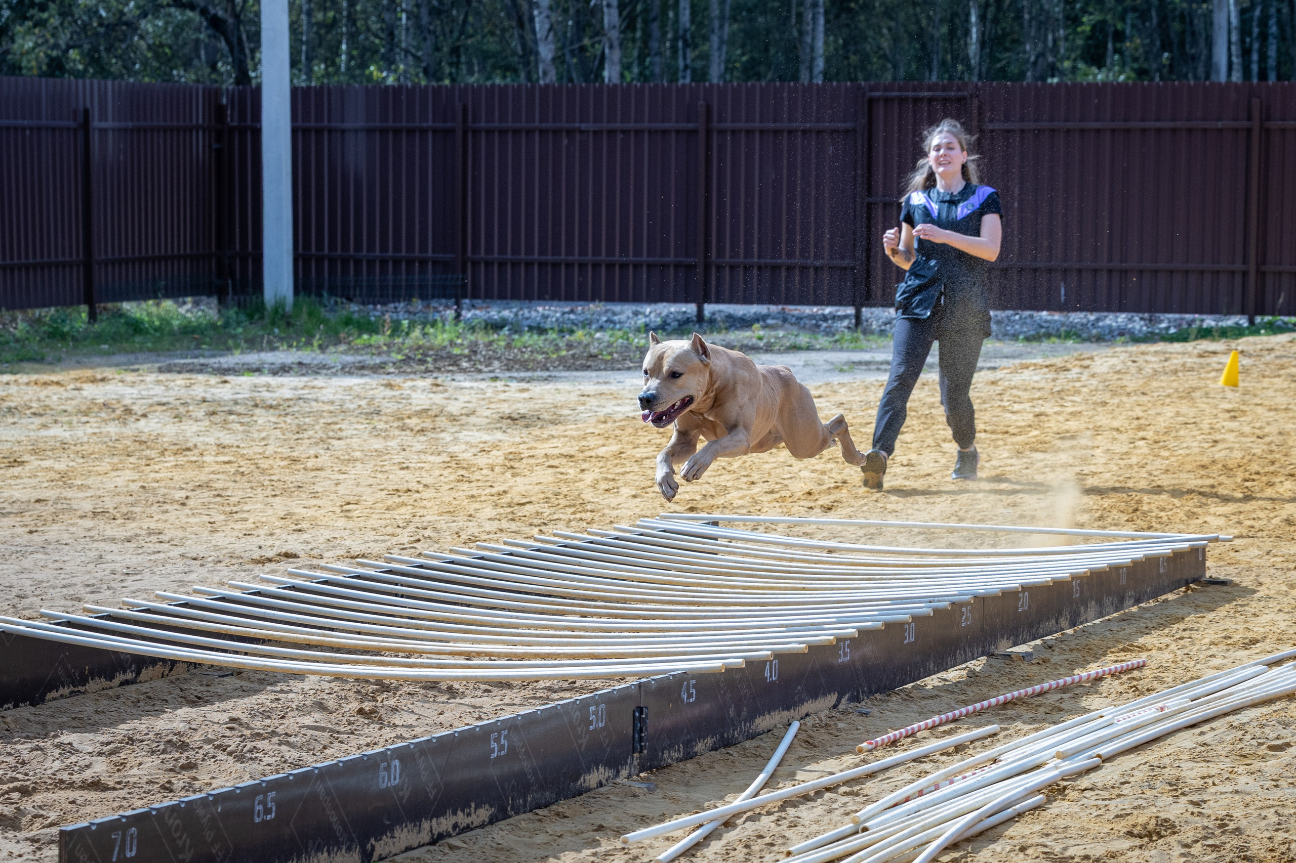 Jump'n'Gym. Виктория Михайловская. Фотограф-анималист. Москва