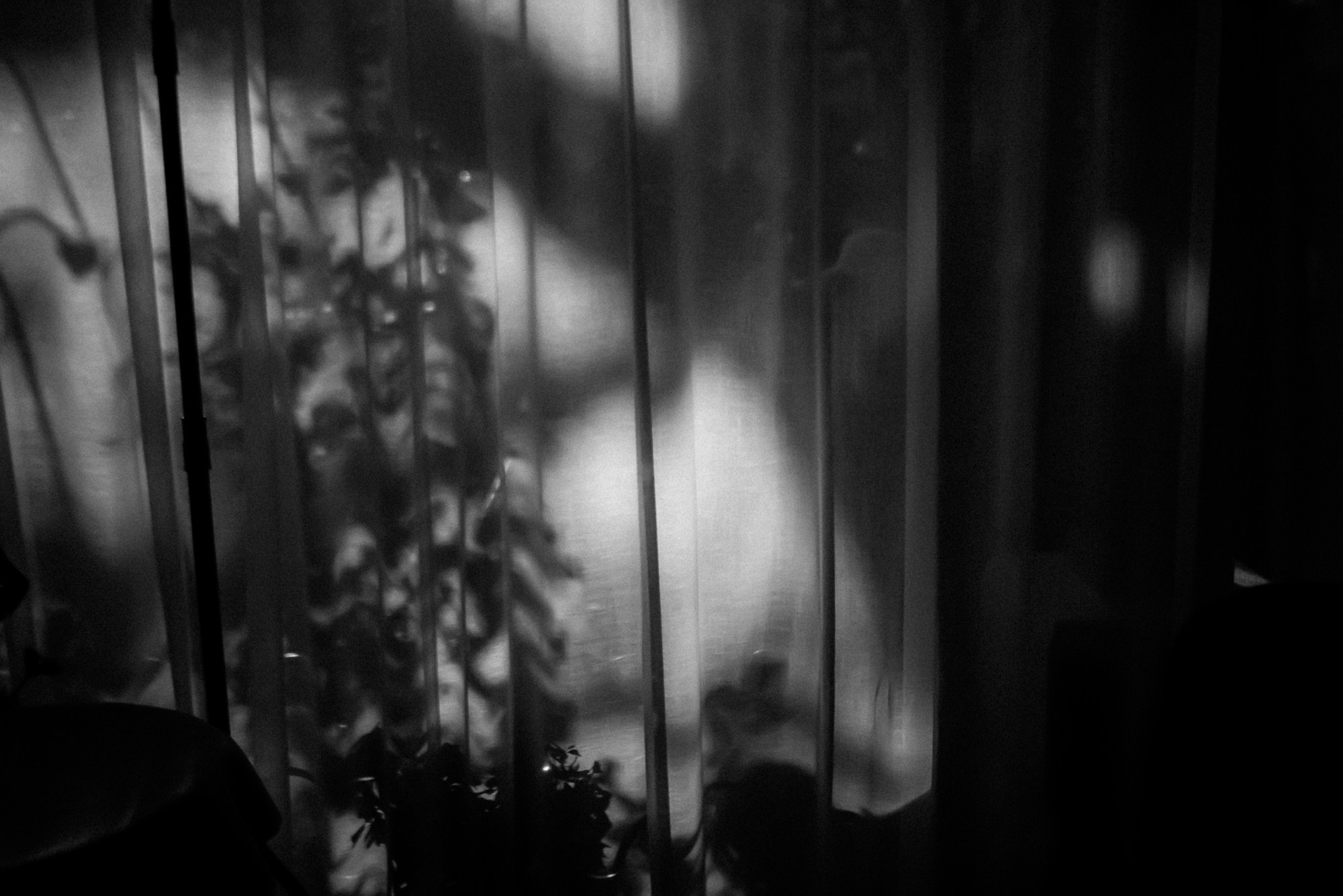 ВОЗДУХ. Свадебный фотограф в Ставрополе Сергей Шляхов