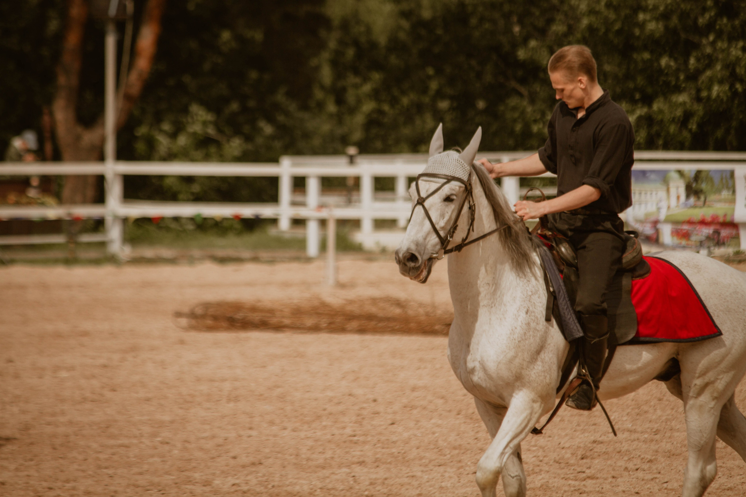 ИППОСФЕРА — Международная конная выставка. Создадим шедевр? Виталина и её фотоискусство