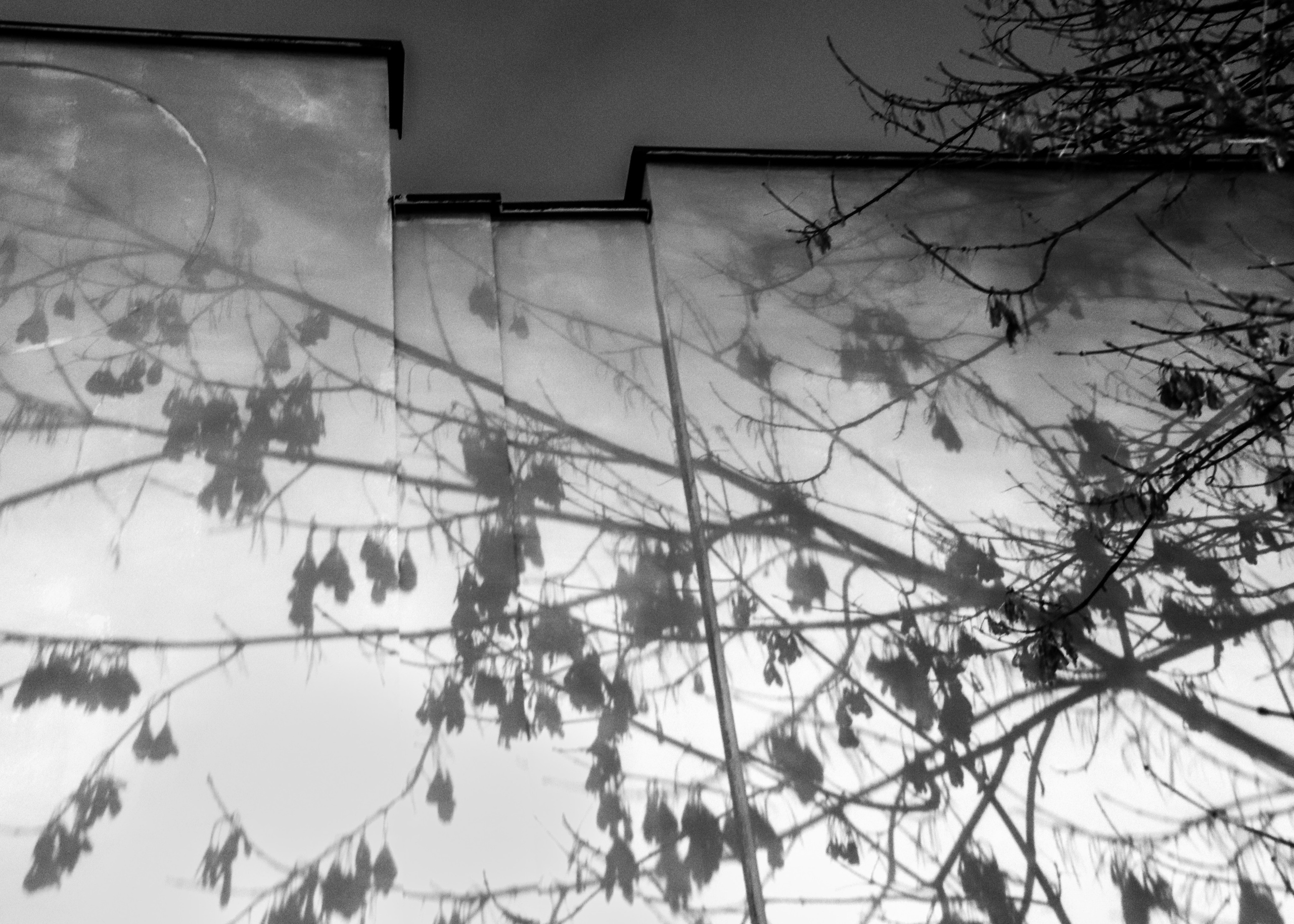 Свет и тень. Фотограф репортажей и стритфотосессий в Москве Людмила Смирнова