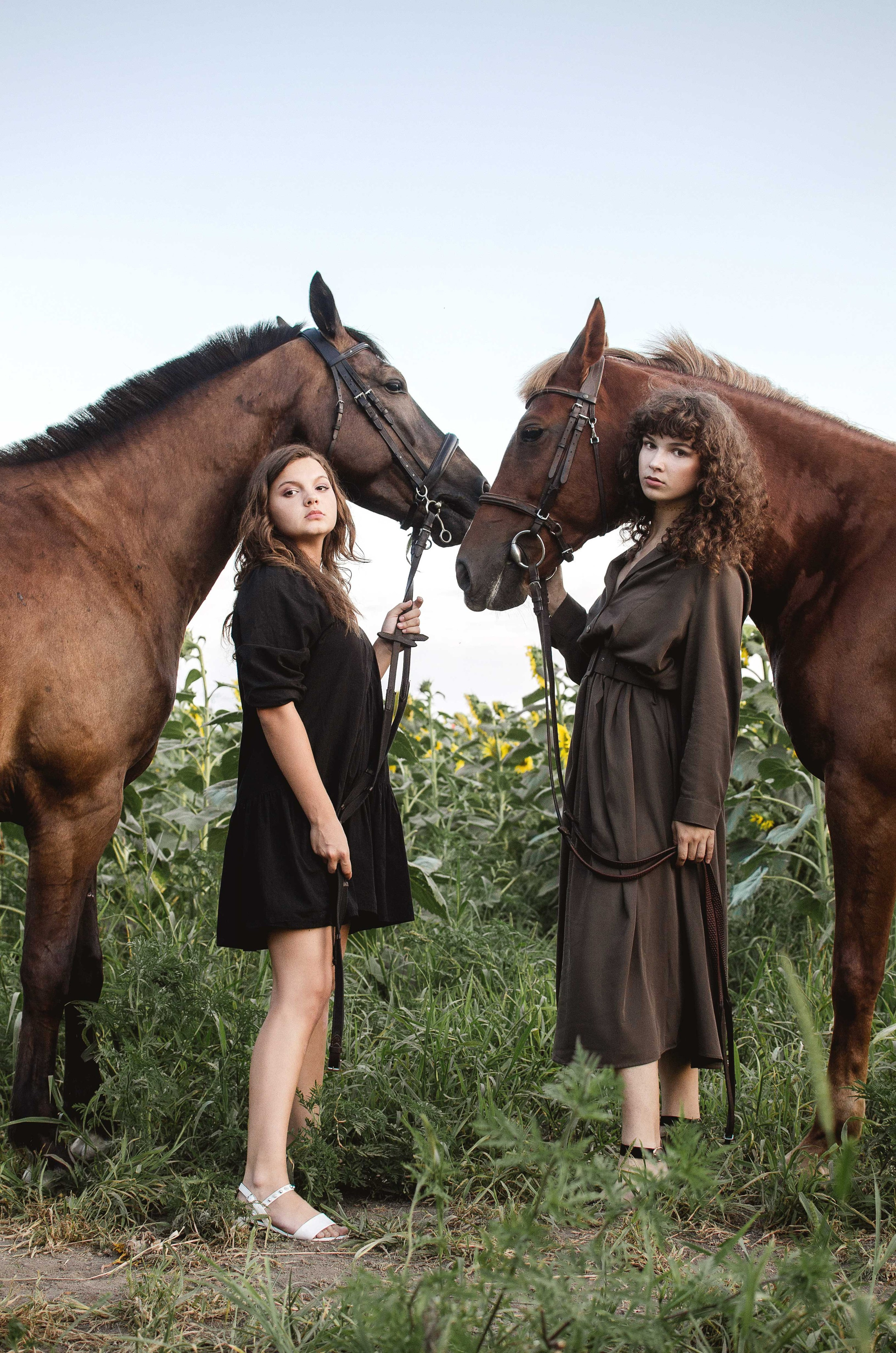 Подарить фотосессию с лошадьми в Анапе