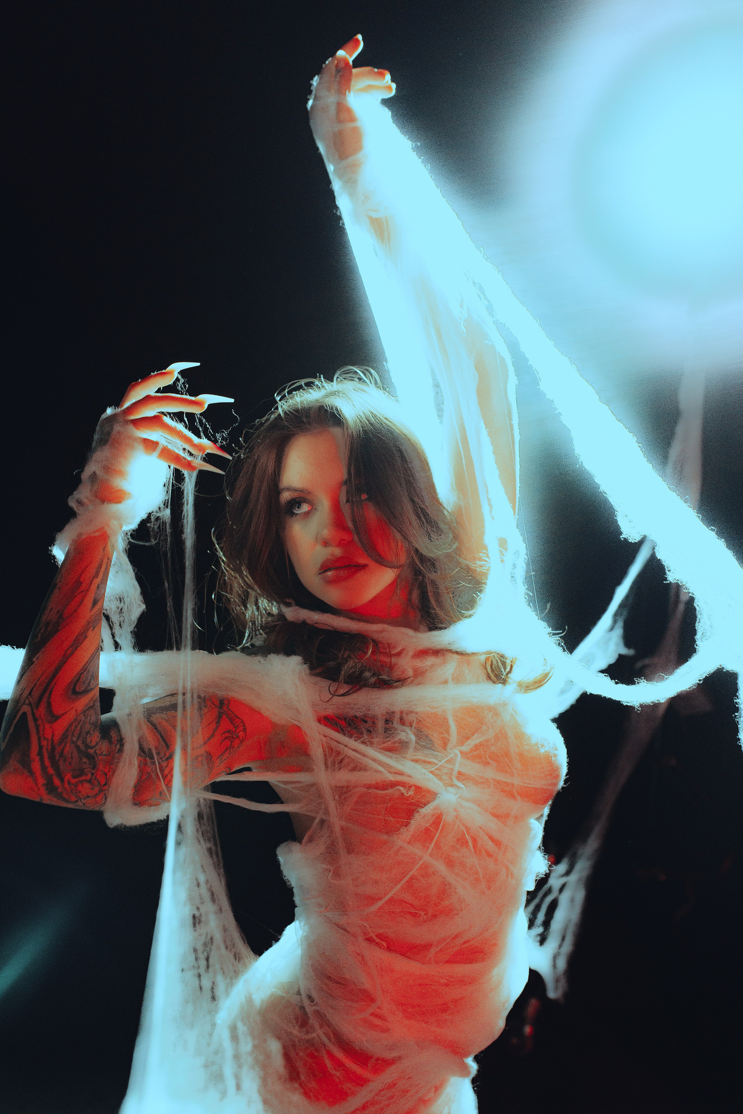 Diibae spider. Фотограф из Санкт-Петербурга Валерия Ленских