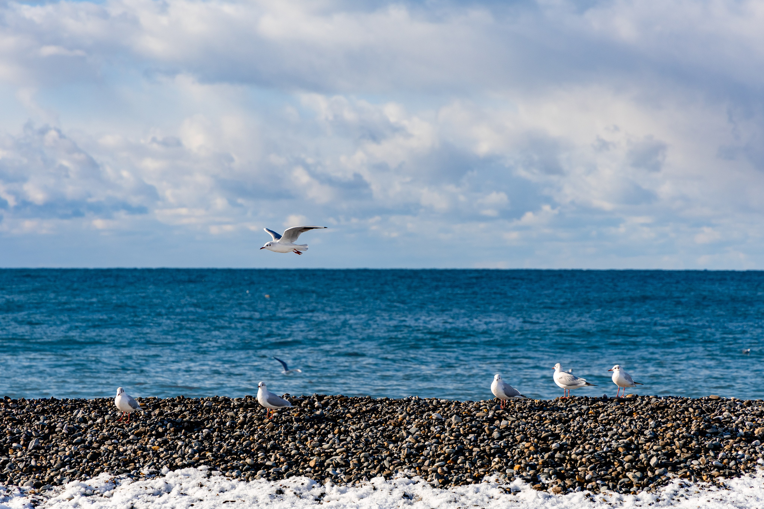 АРХИТЕКТУРА / ОКРУЖАЮЩАЯ СРЕДА. Фотосъёмка Сочи, Адлер, Красная Поляна