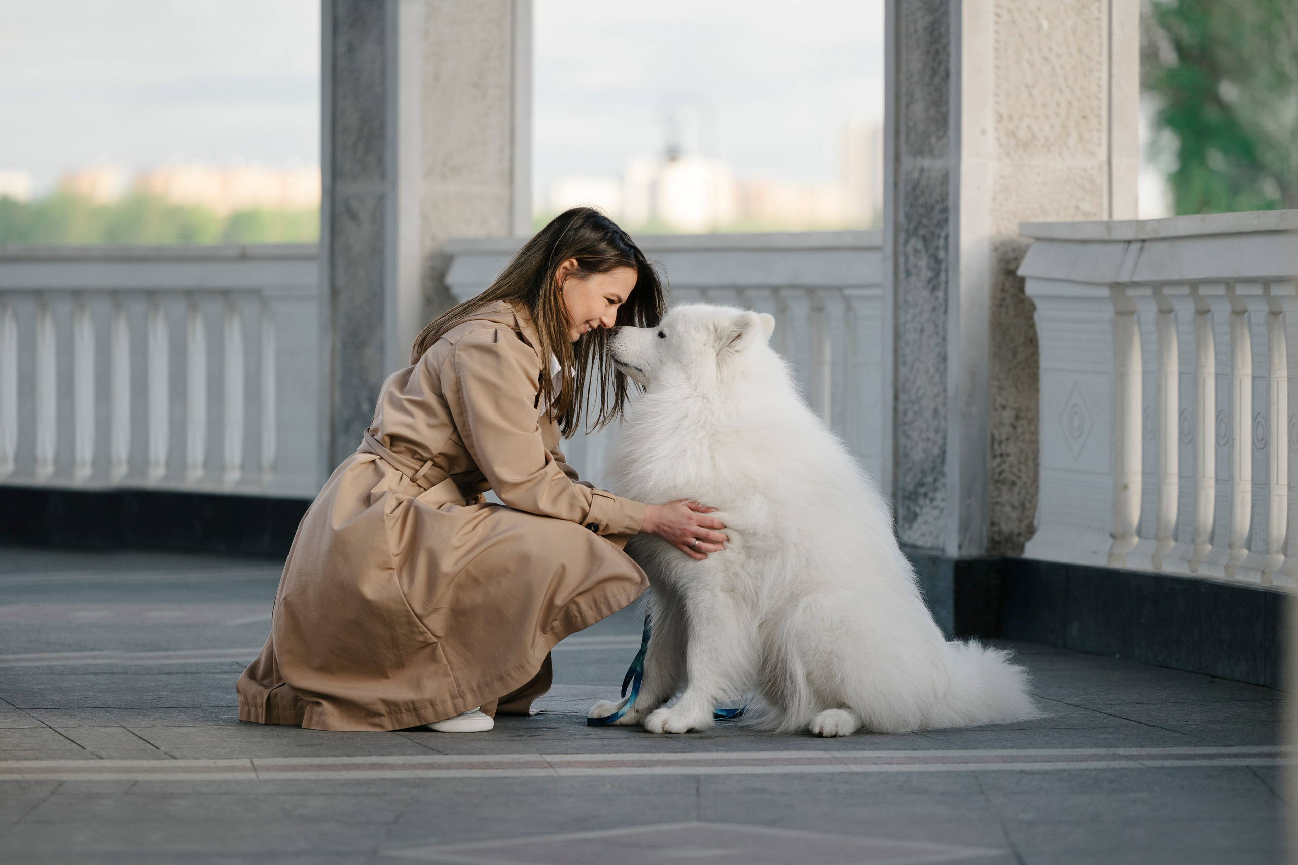 Ната, Панти, Речной Вокзал. Фотограф анималист в Москве Майорова Евгения