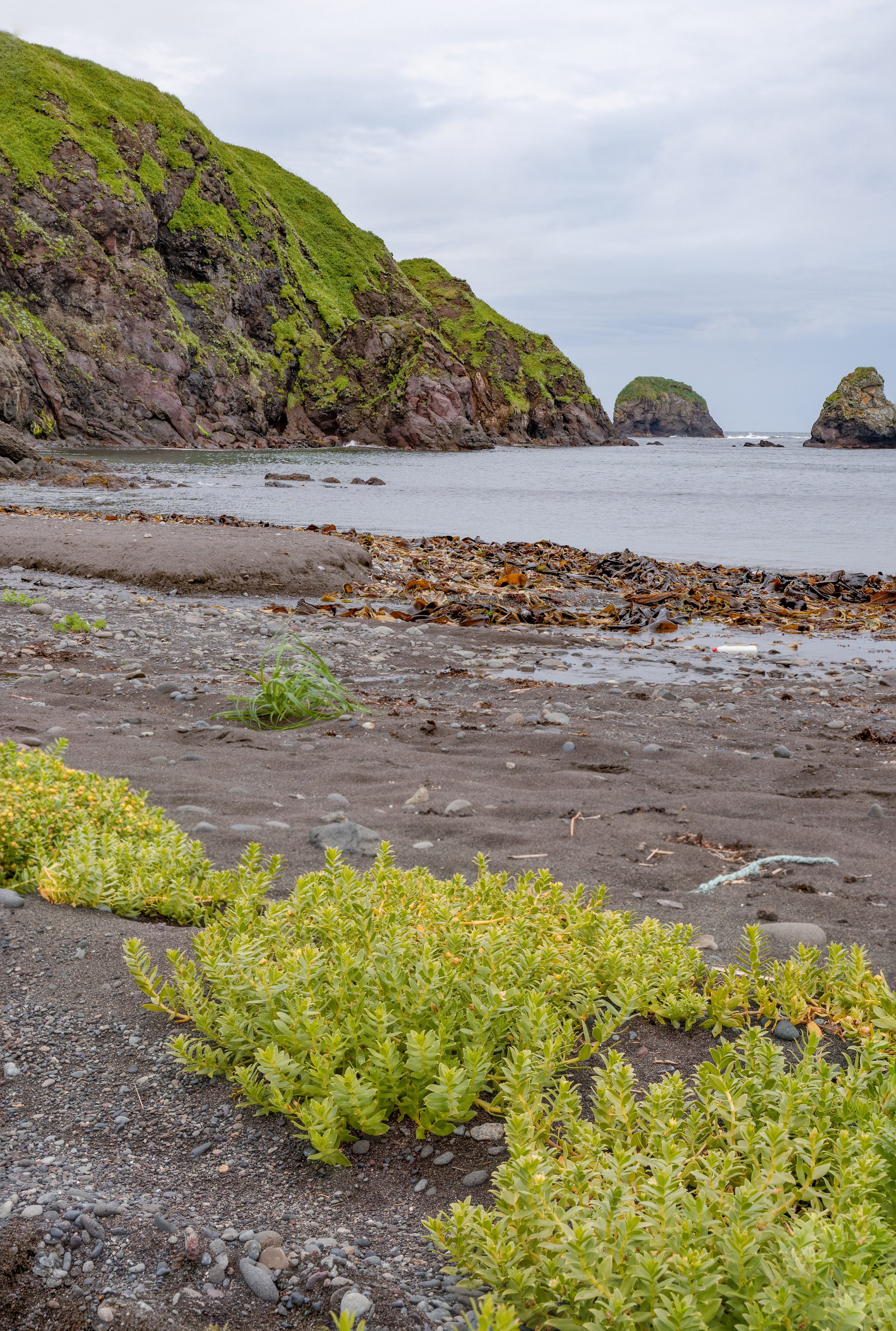 Курильские острова. Gusarov Travel Photography