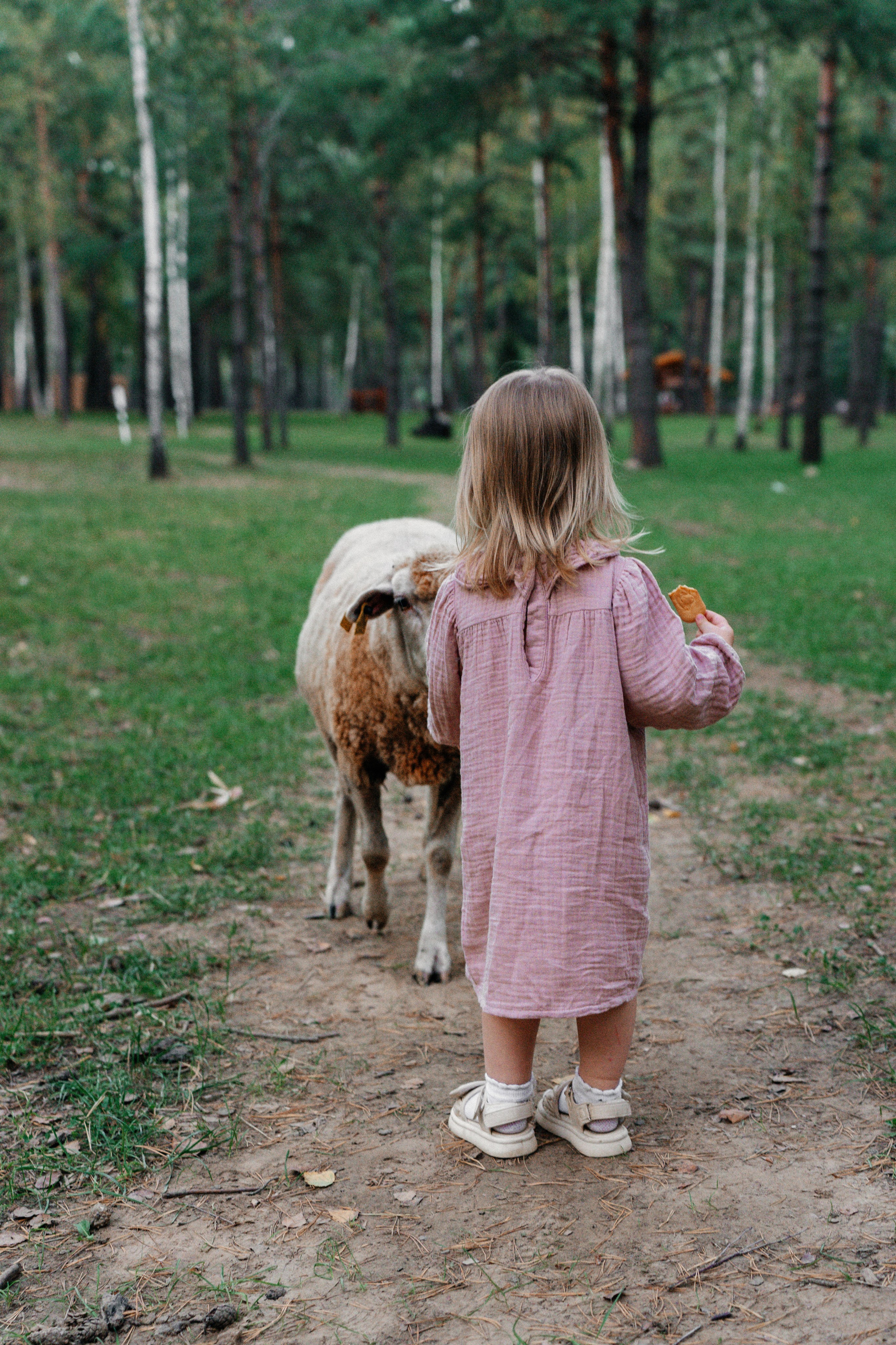 Диприз — в мире диких животных. Ваш семейный фотограф в Минске — Вика Трегубова