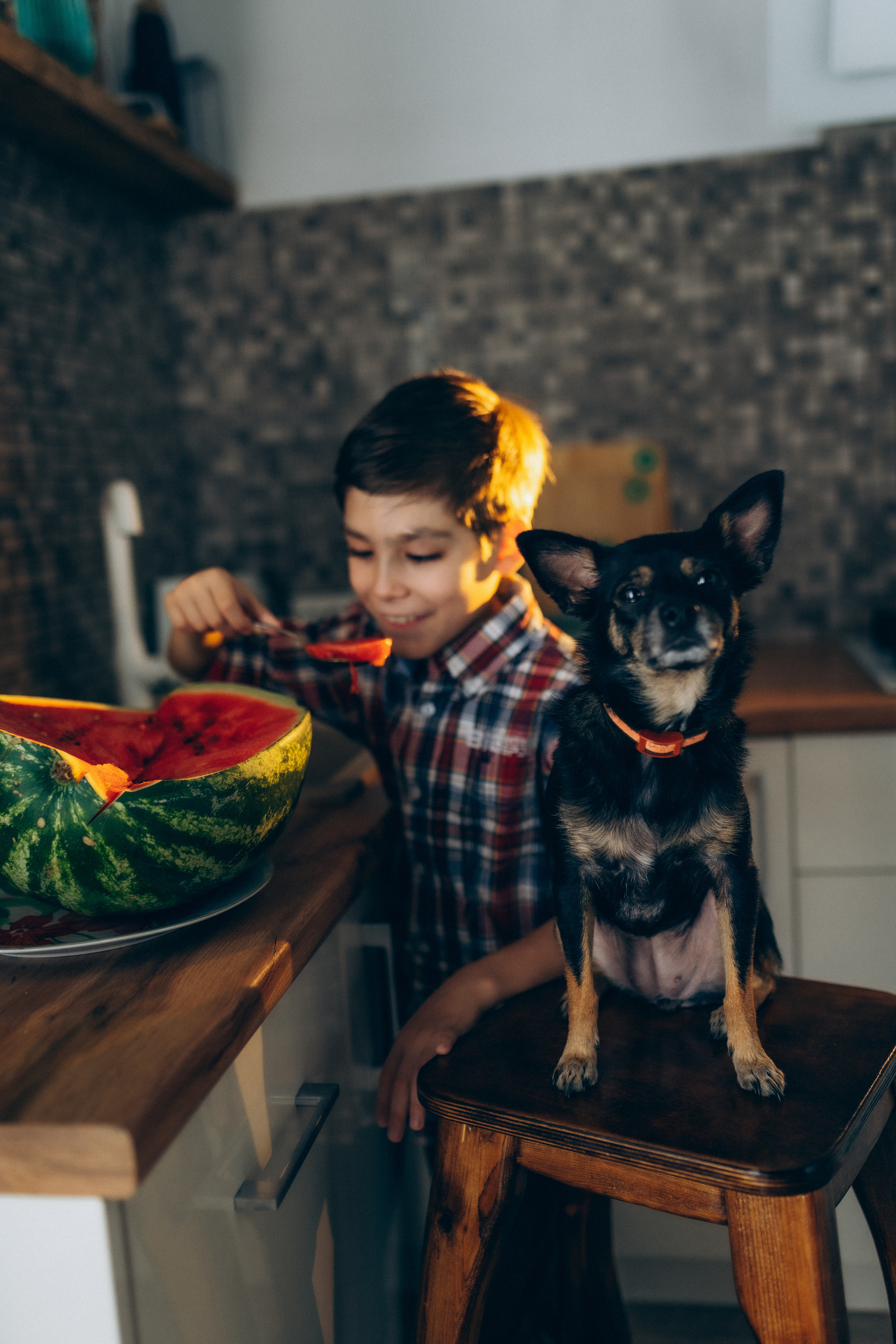 Арбуз. Семейный фотограф в городе Ейск — Михайлова Татьяна