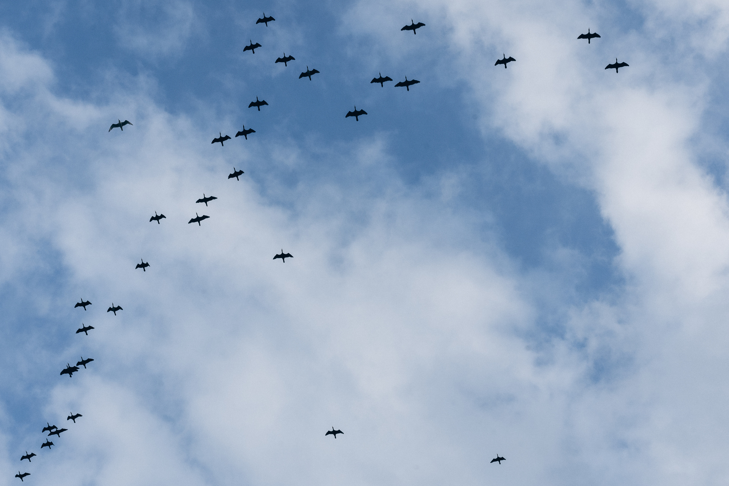 Катерина. Семейный фотограф в городе Ейск — Михайлова Татьяна