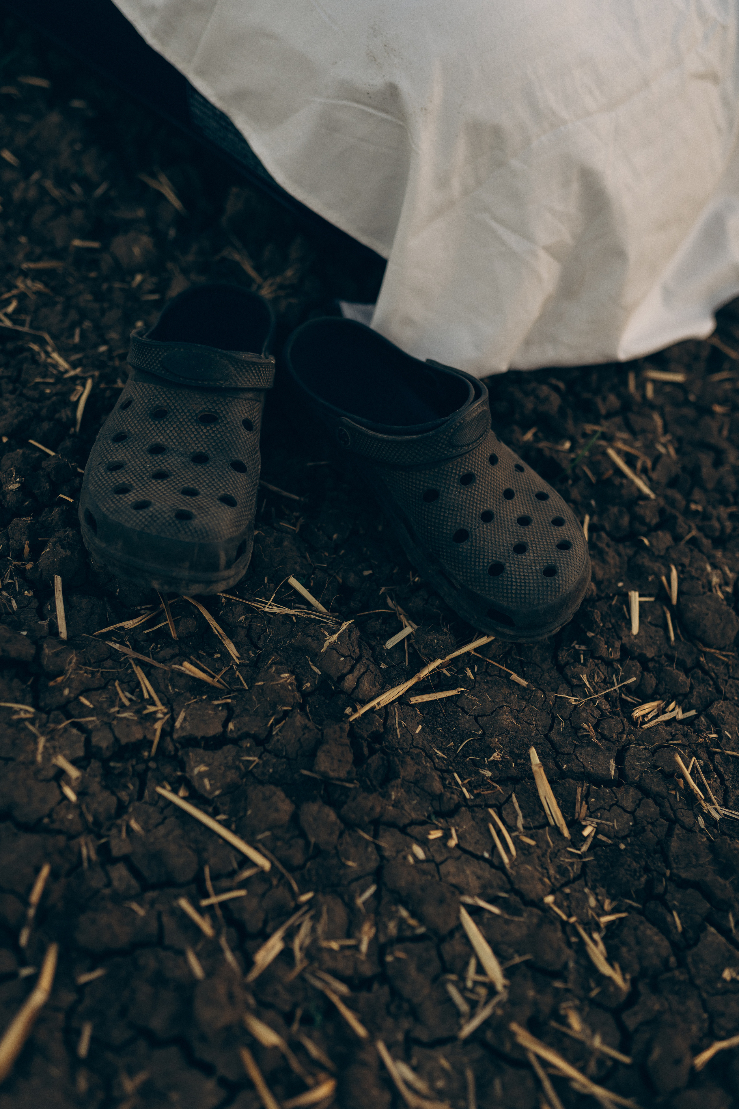 Поле. Семейный фотограф в городе Ейск — Михайлова Татьяна