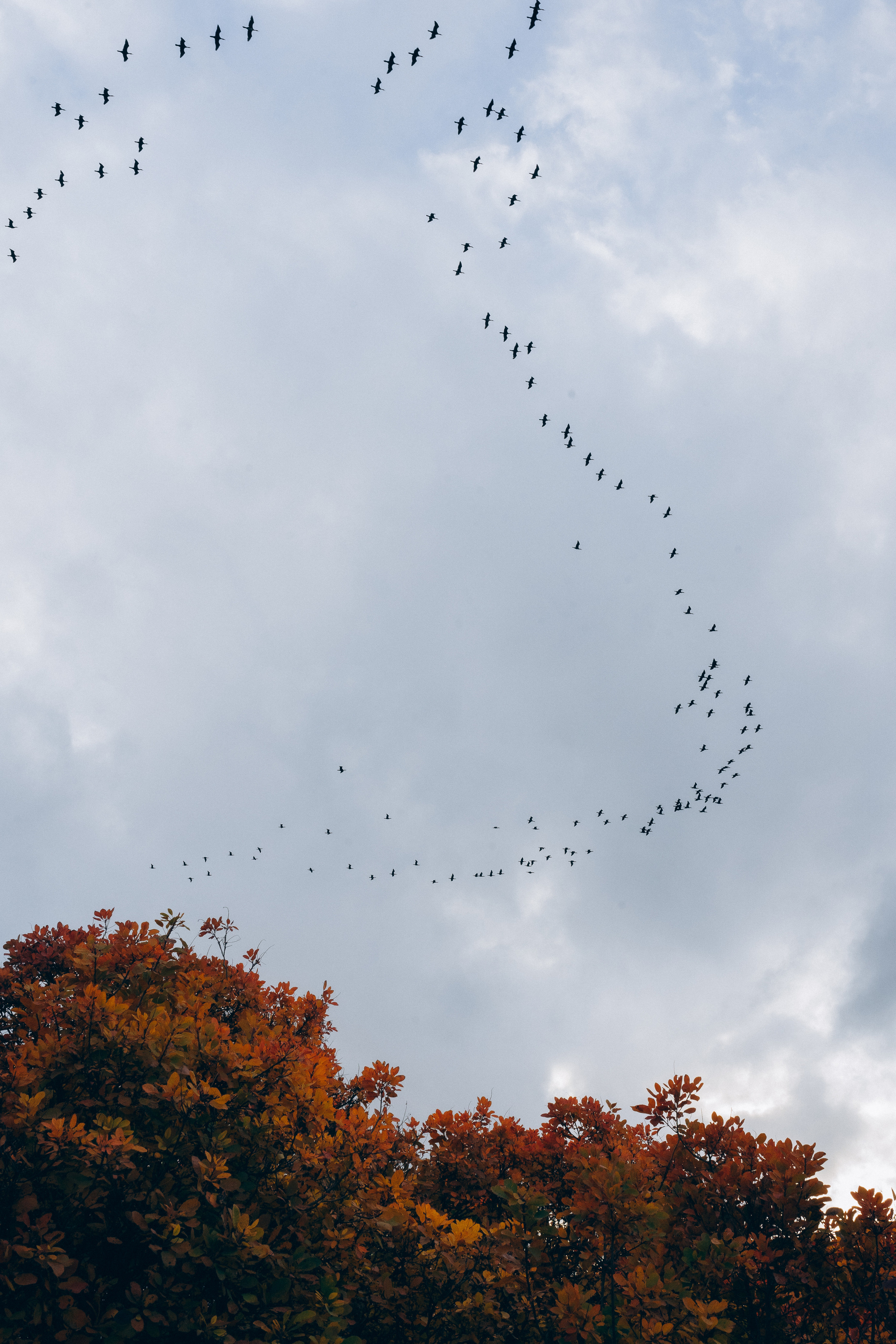 Катерина. Семейный фотограф в городе Ейск — Михайлова Татьяна