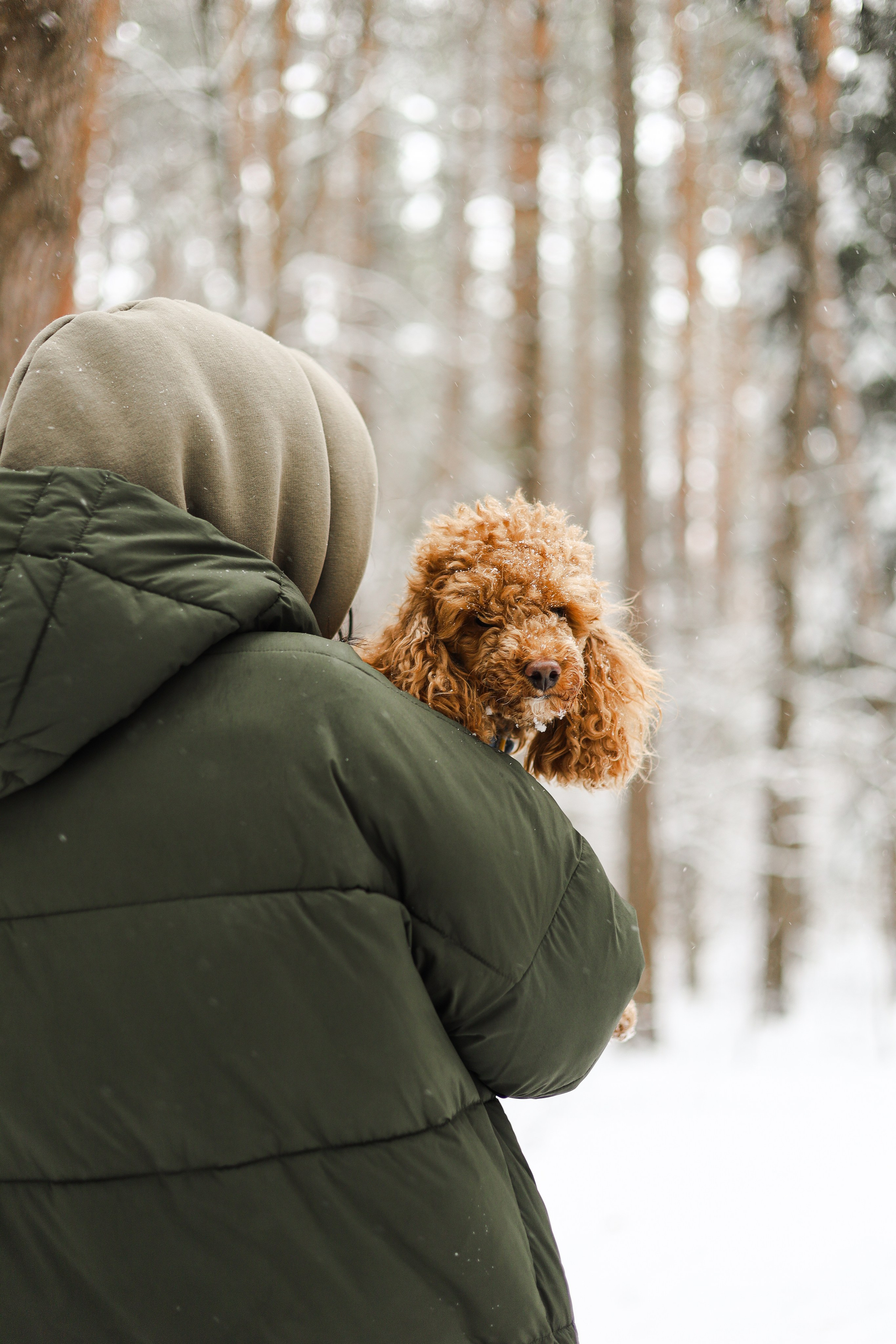 Муд и Леся. Фотограф-анималист Ксения Шевцова|Москва