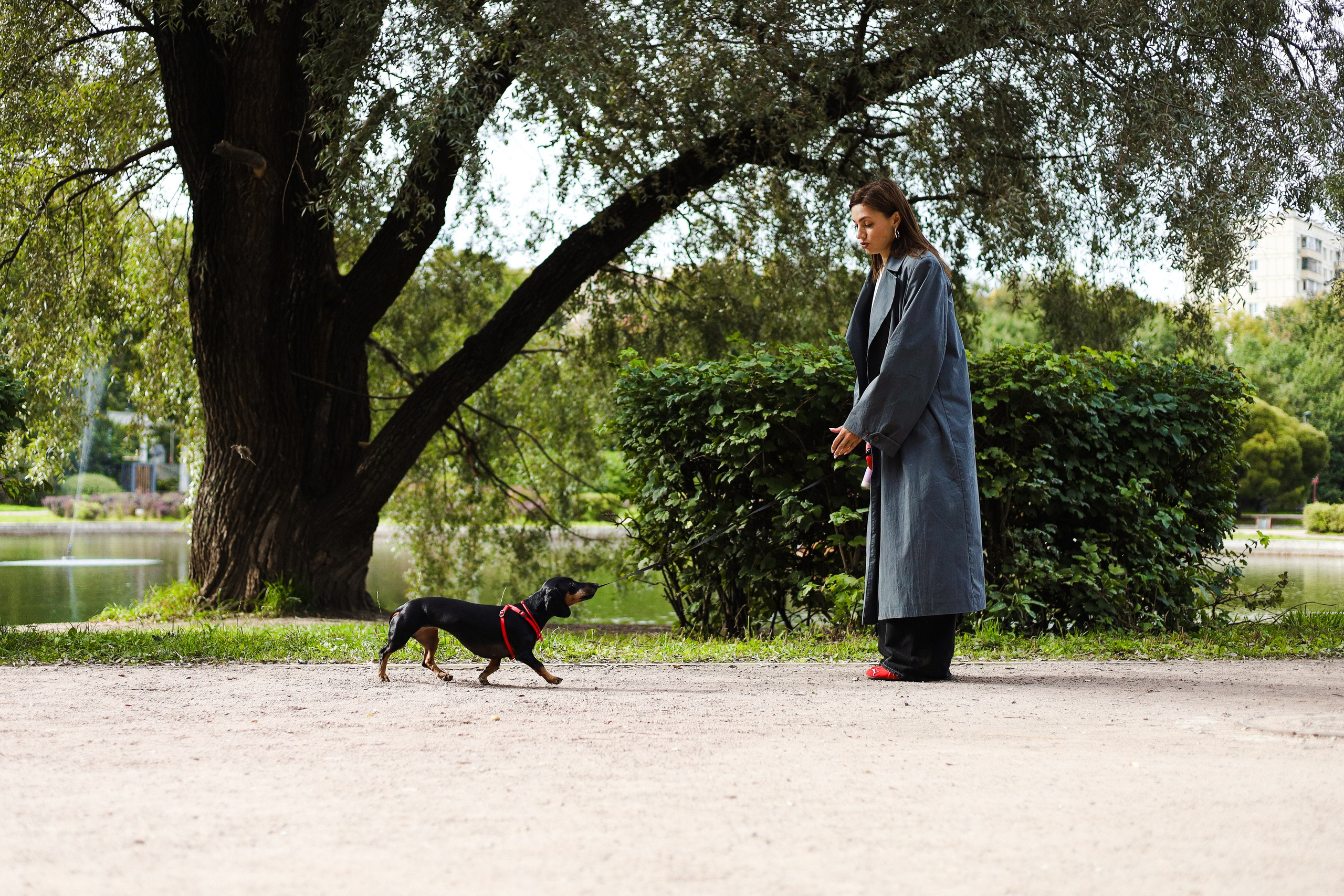 Моня и Оля. Фотограф-анималист Ксения Шевцова|Москва