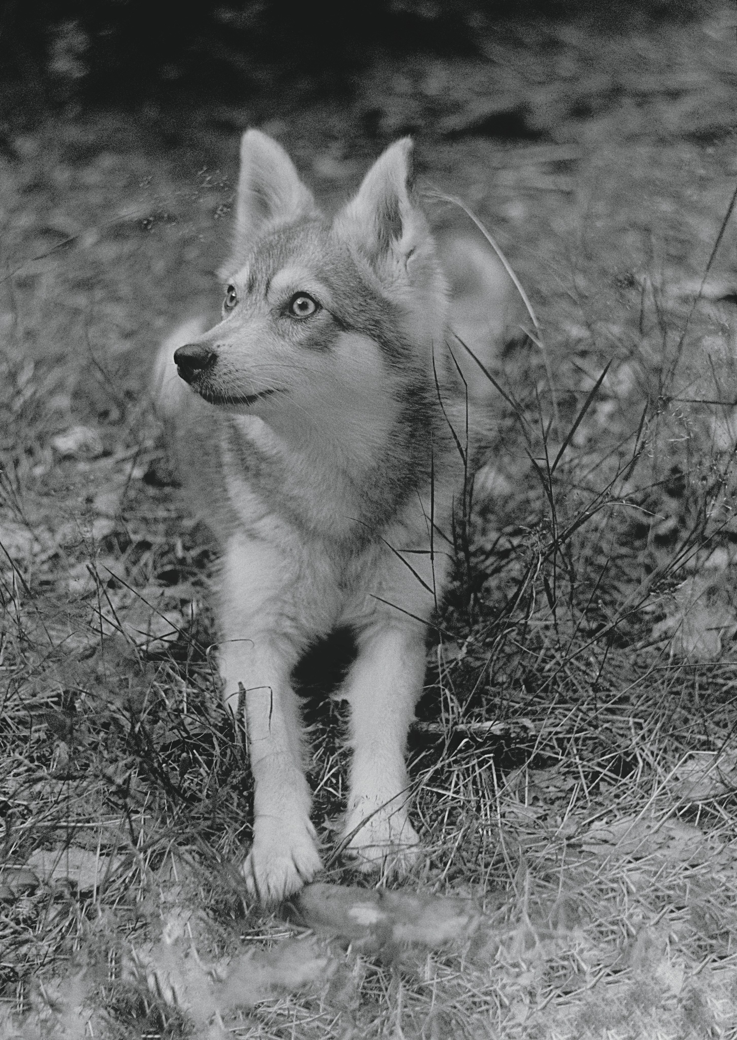 Стартовая. Стилист и плёночный фотограф Анастасия Шлокова в Санкт-Петербурге и Москве
