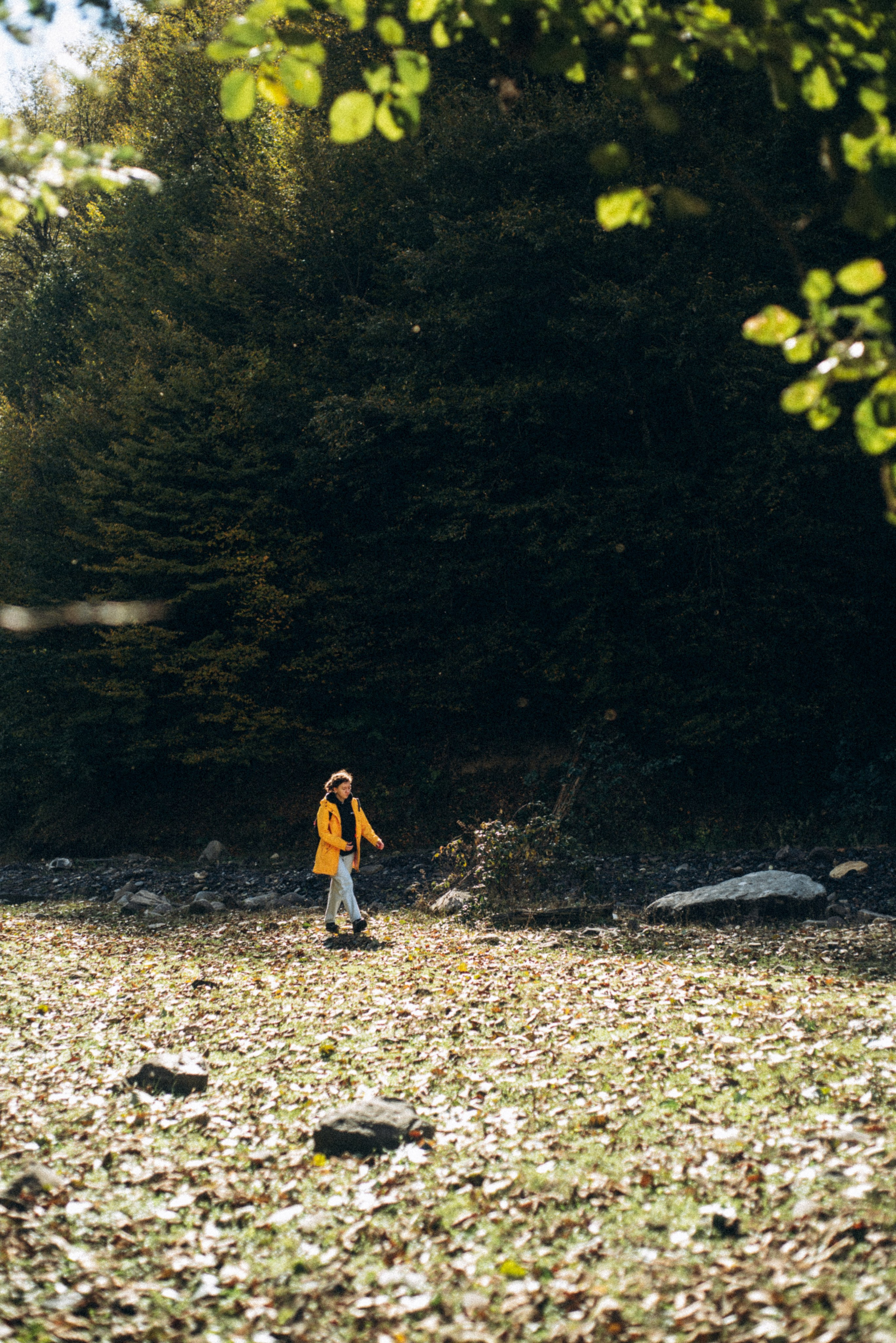 Конный поход 🇬🇪 «PVD Club». Anita_photo