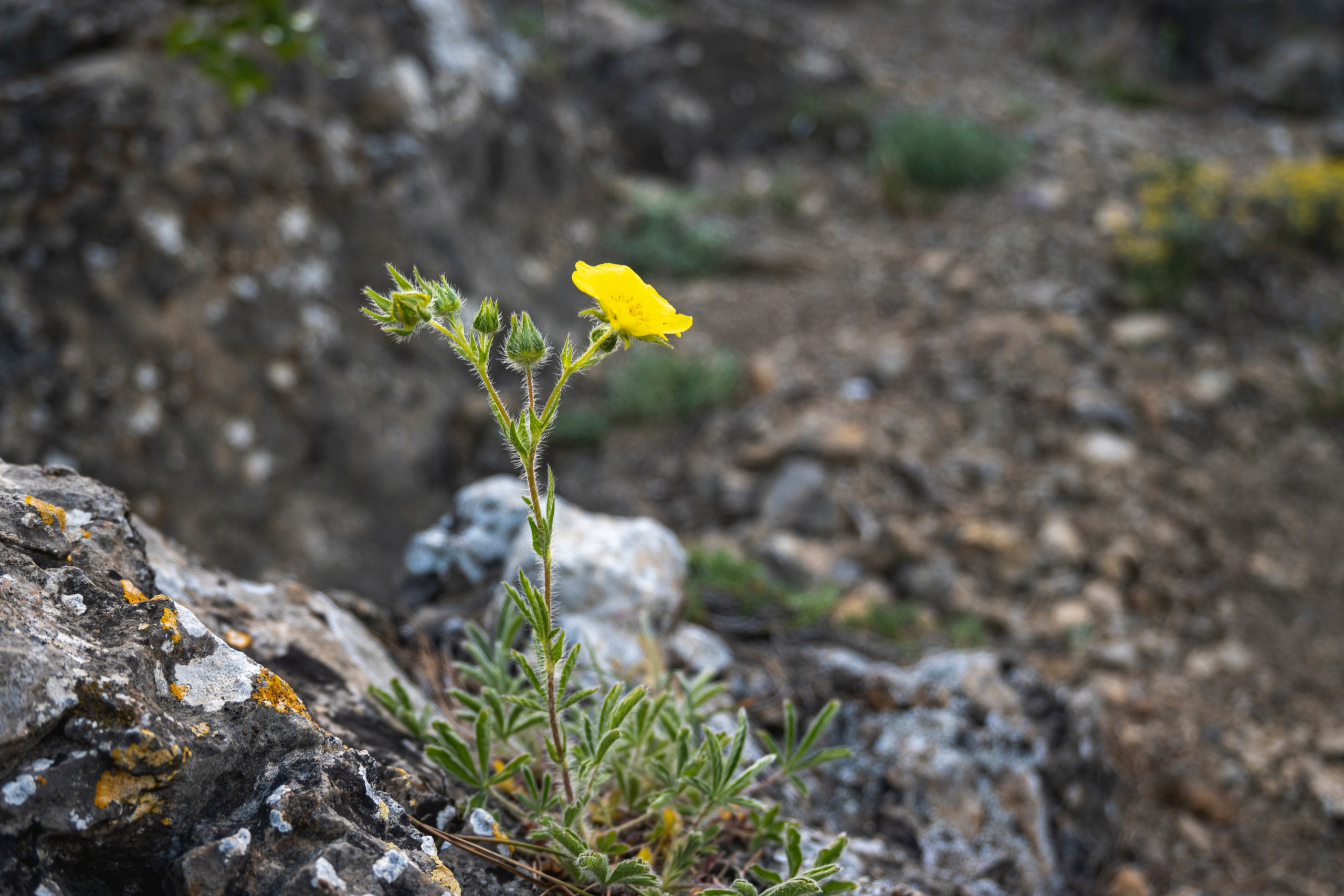 Крым май 2022. Фотограф Роман Адлер