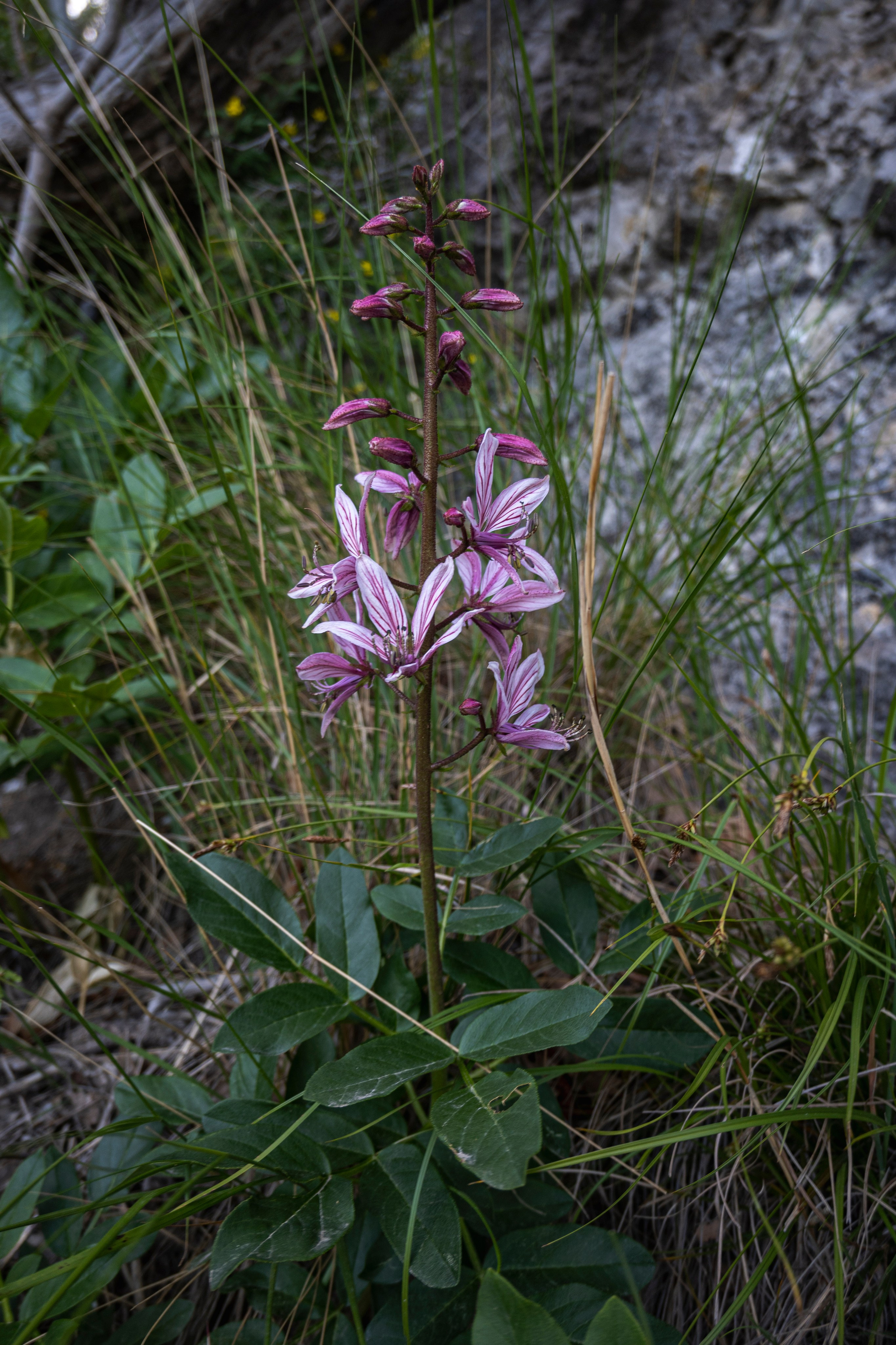 Крым май 2022. Фотограф Роман Адлер