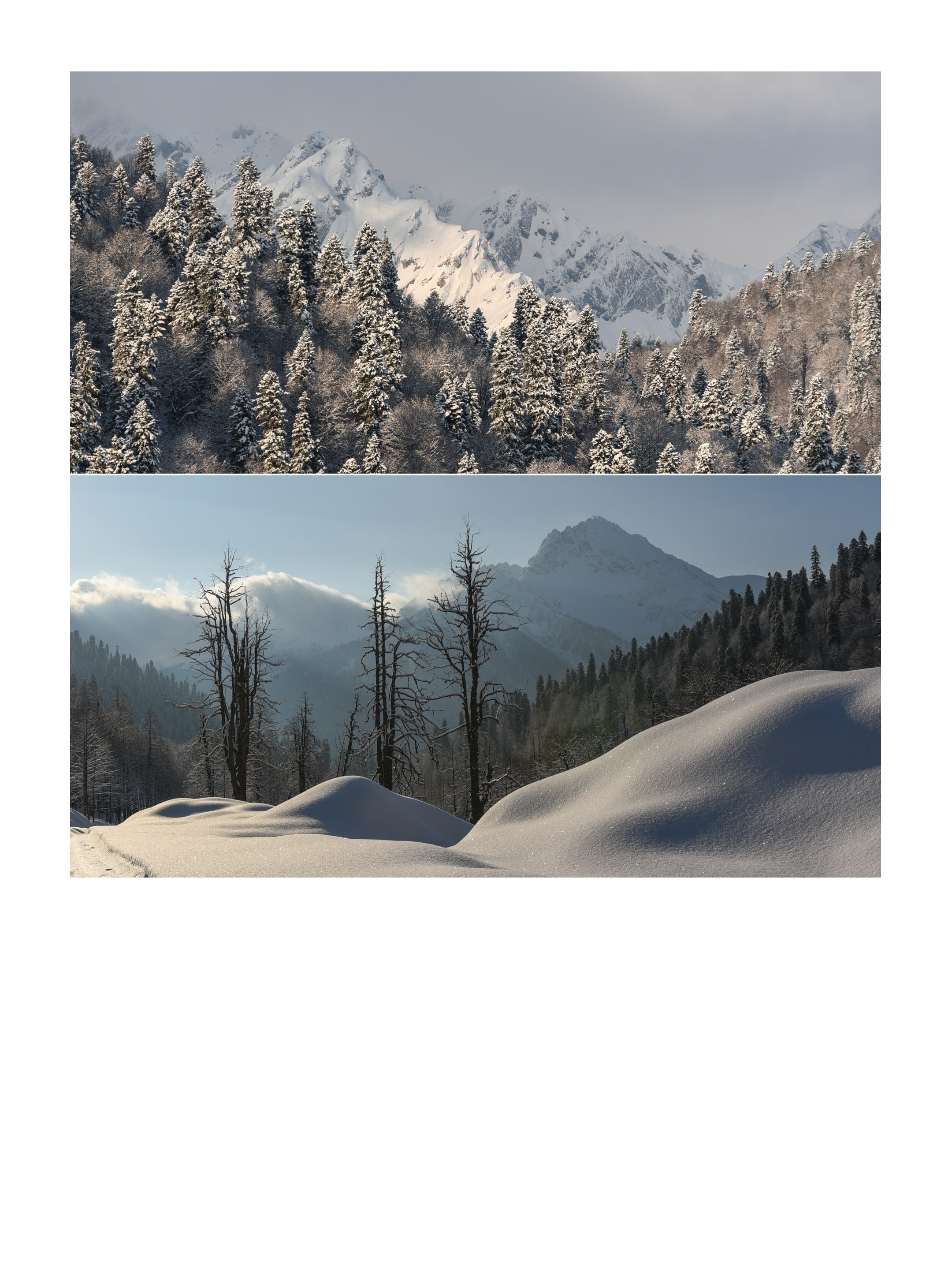 Winter Abjazia. Anastasia Serdyuk, travel photographer, travel photo, portraits, stories, fineart prints