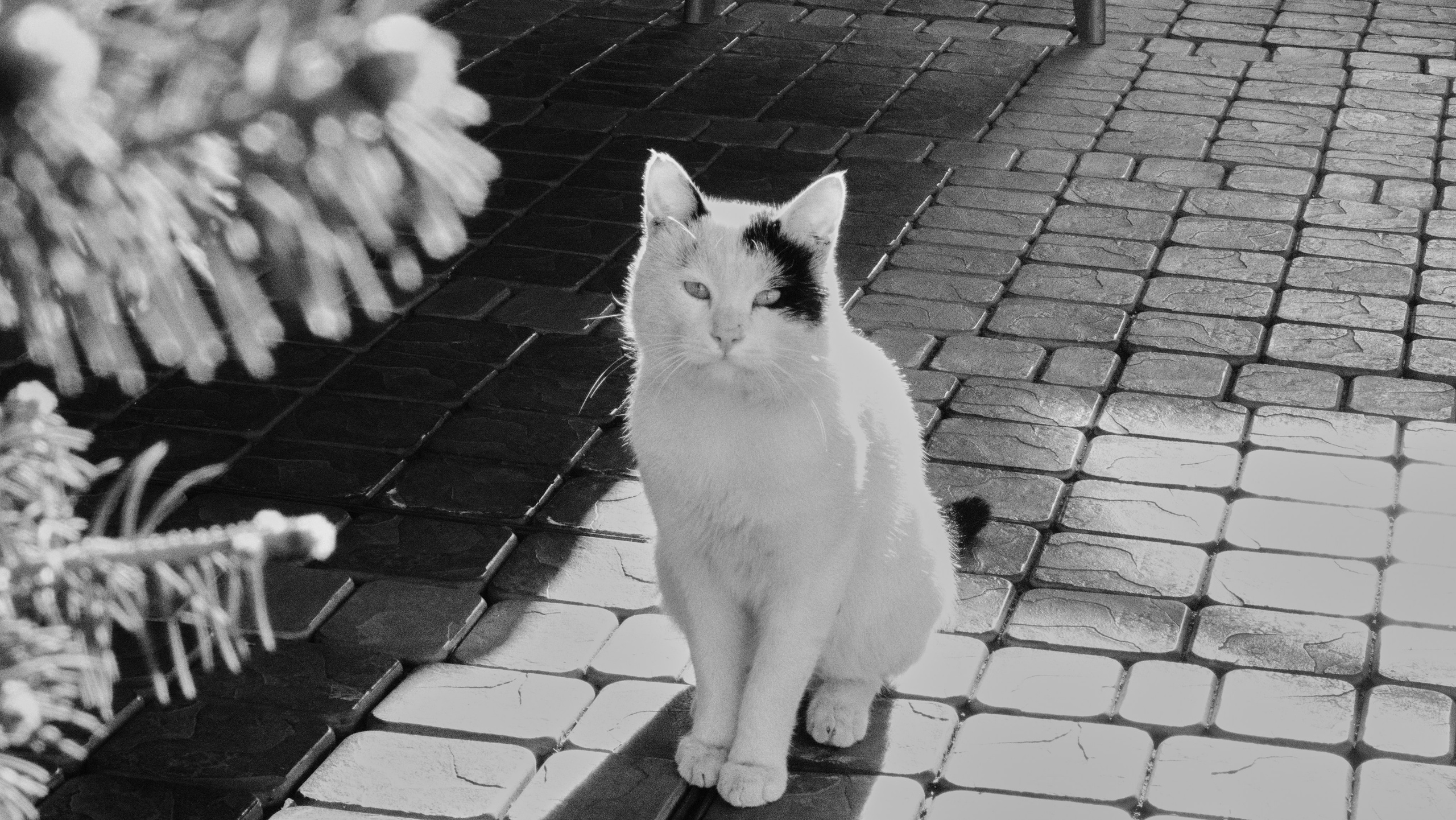 Две ночи в Ереване. Главная