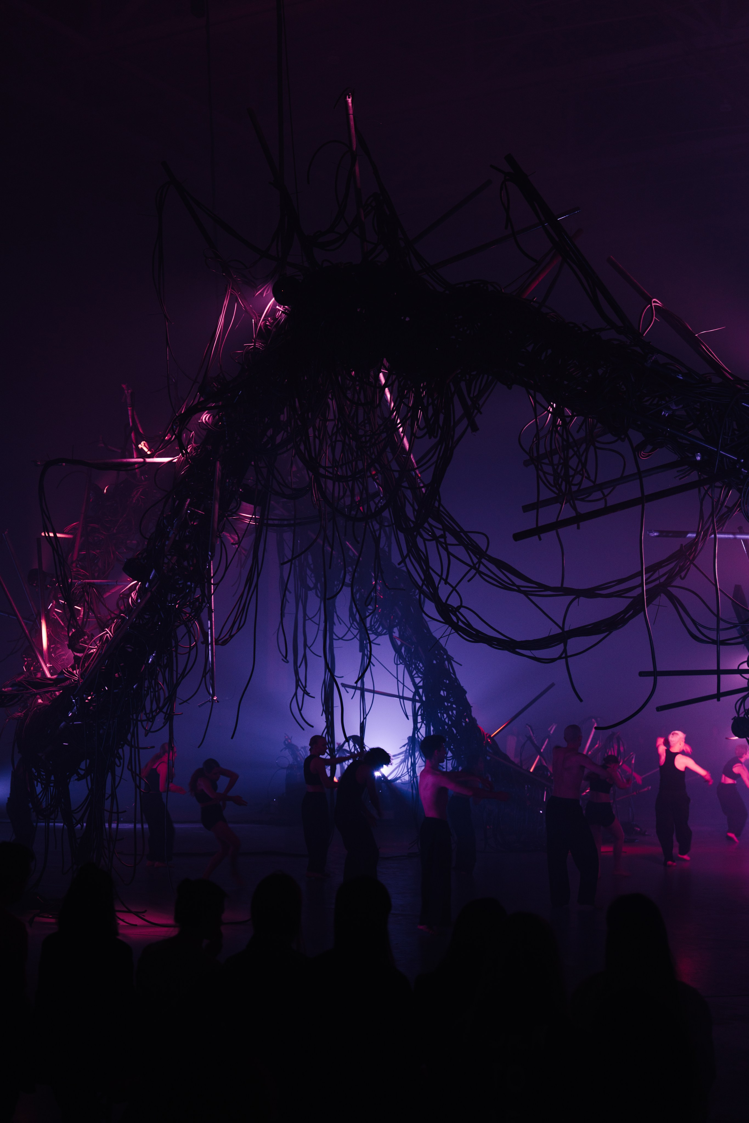 PERFORMA, The Hour of the Horse. @tomrus: Рустам Шагиморданов — фотограф