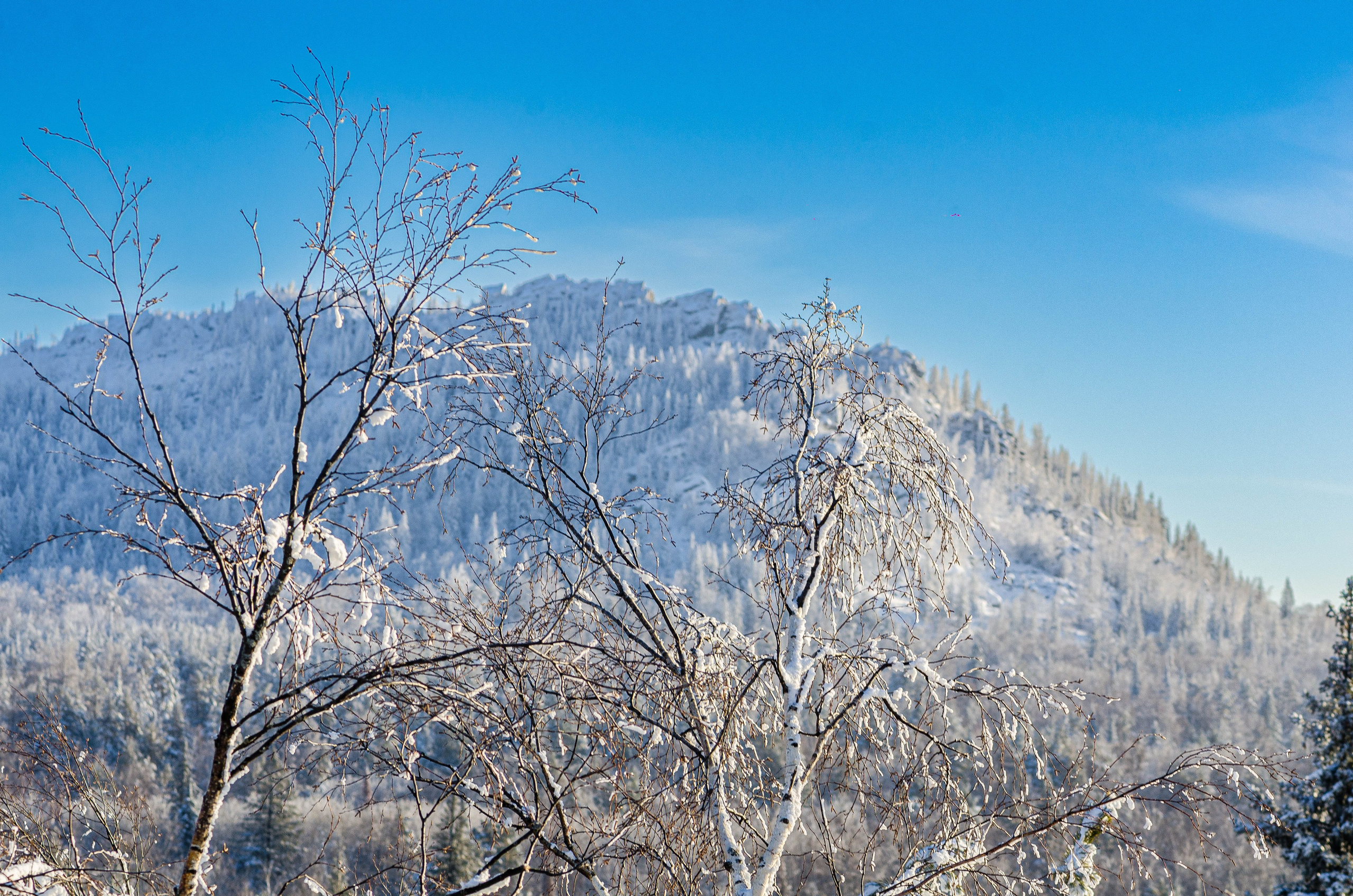 Таганай Семибратка, Парк Бажова, ледяной фонтан 06.01.2024. Свадебный фотограф на Урале Виктор Соколов