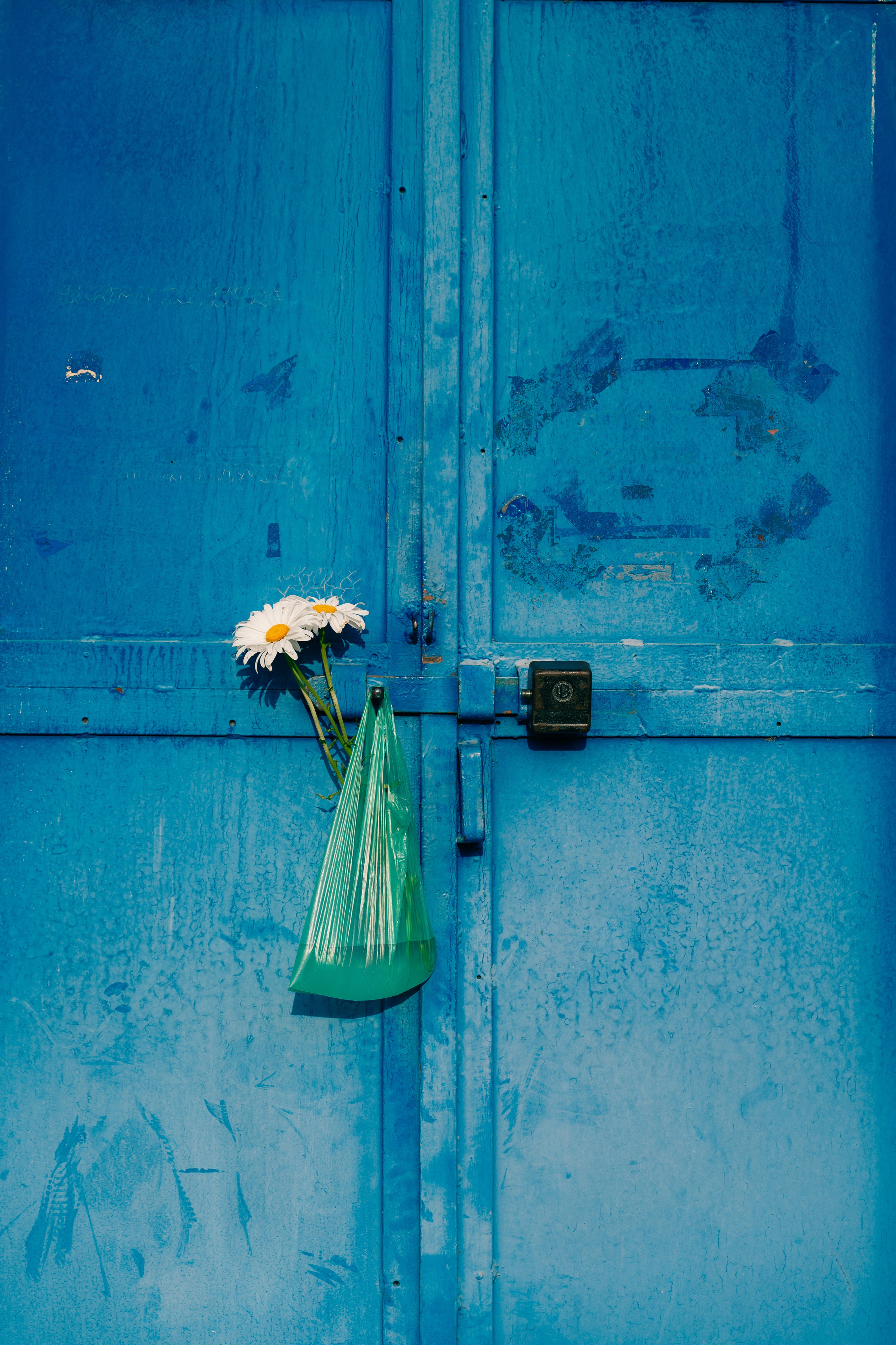 Юлия. Мария Кобзева, фотограф в Ялте, Крым