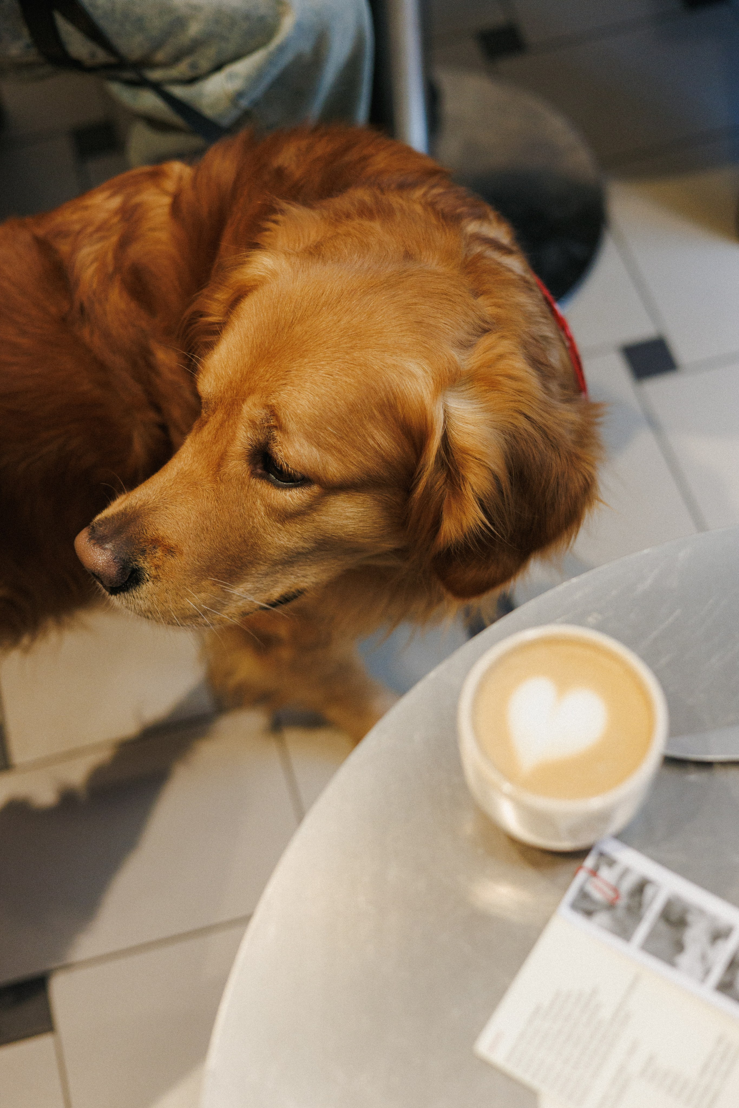 Aaark.cafe. Фотограф в Москве Виктория Губина