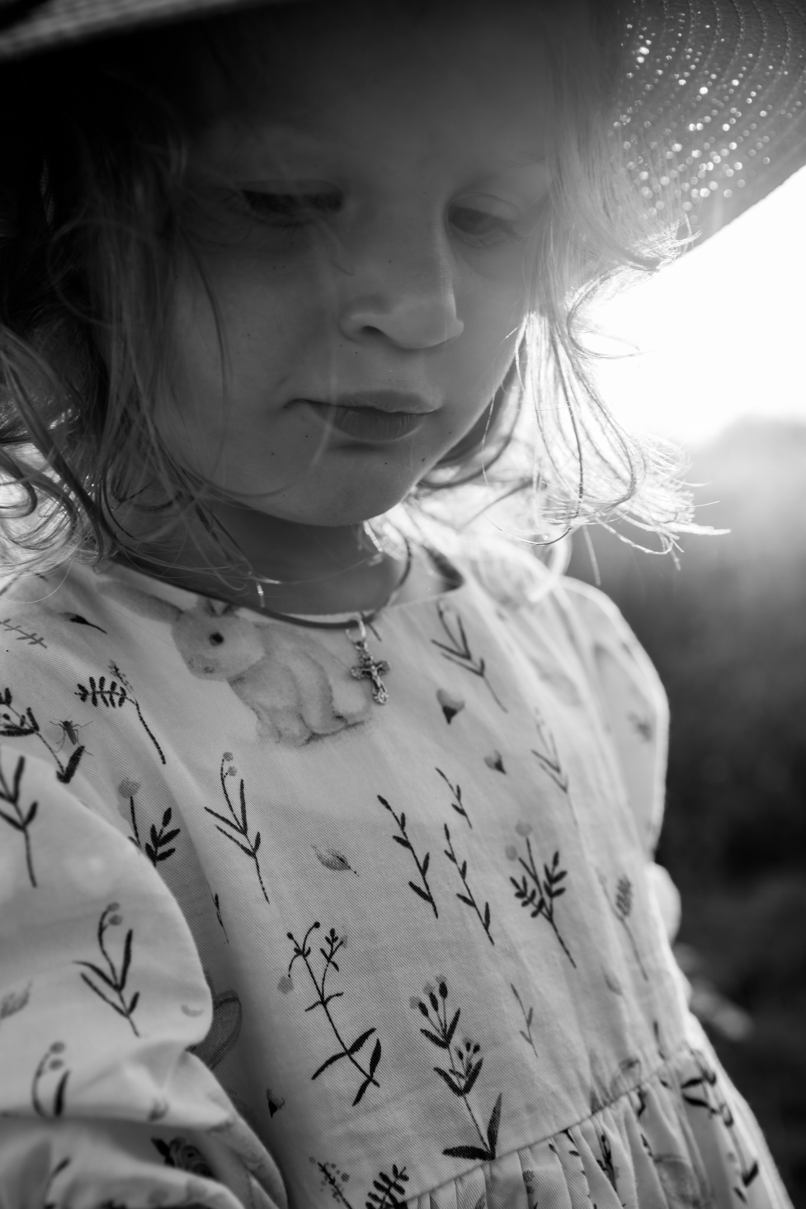 Семья Авраменко