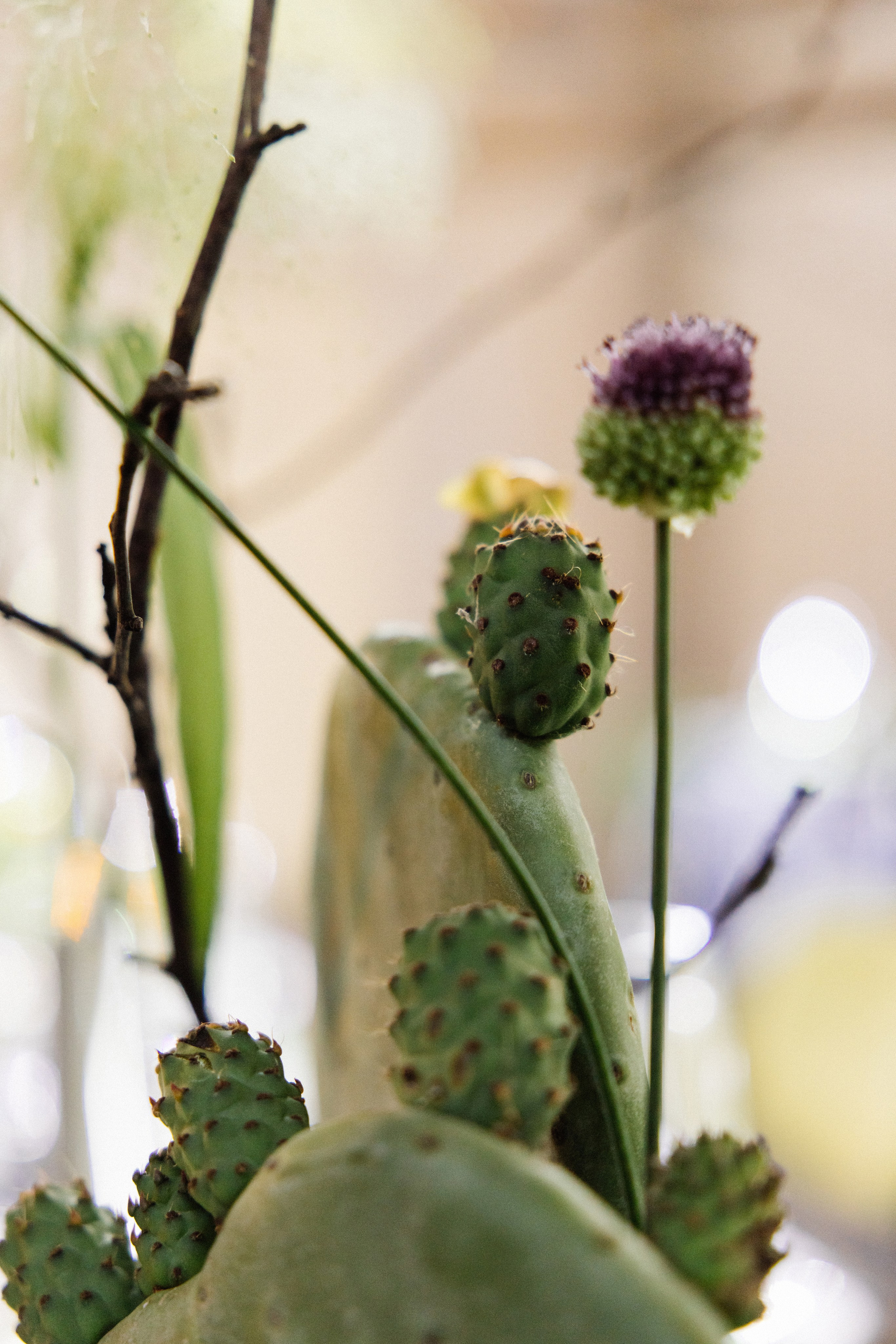 @avtors.agency. Свадебный и репортажный фотограф в Москве Владимир Сергеев | Naysaikolo