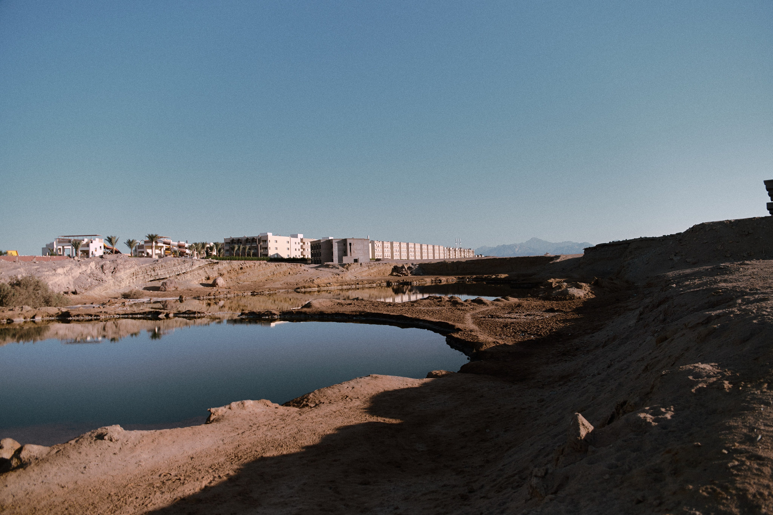 Лошадиная ферма. Jorgis — фотограф в Хургаде / обучение фотографии