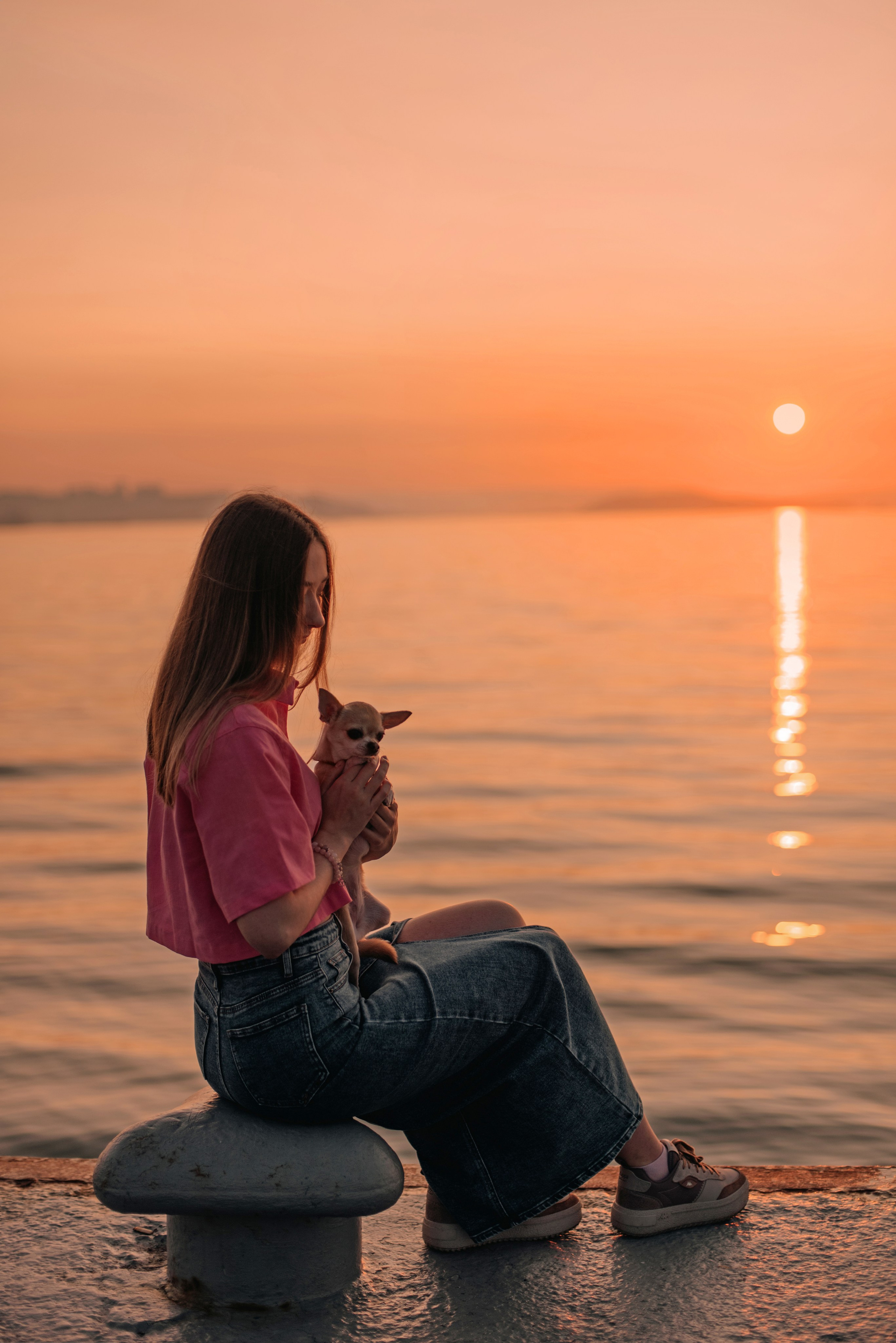 Прогулка: чихуахуа Хенни и Алина во Владивостоке. Портфолио