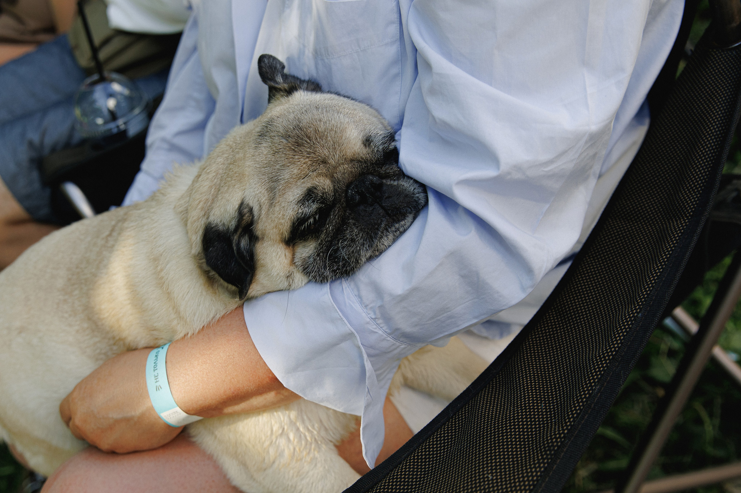 Не только джаз на пруду. Свадебное фото и видео в Липецке. Павел Покидов, Елена Покидова