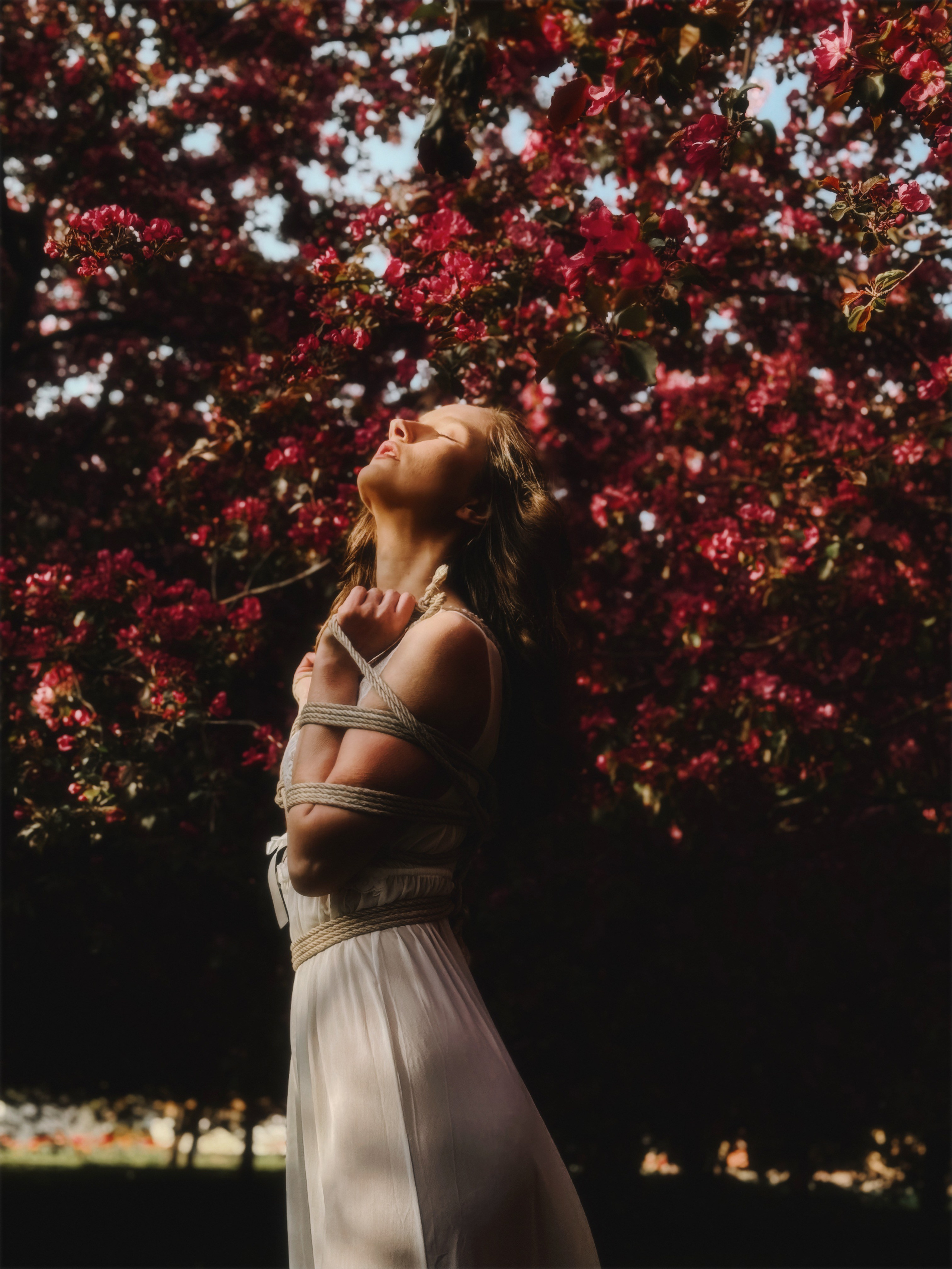 Shibari. Luckyframe1