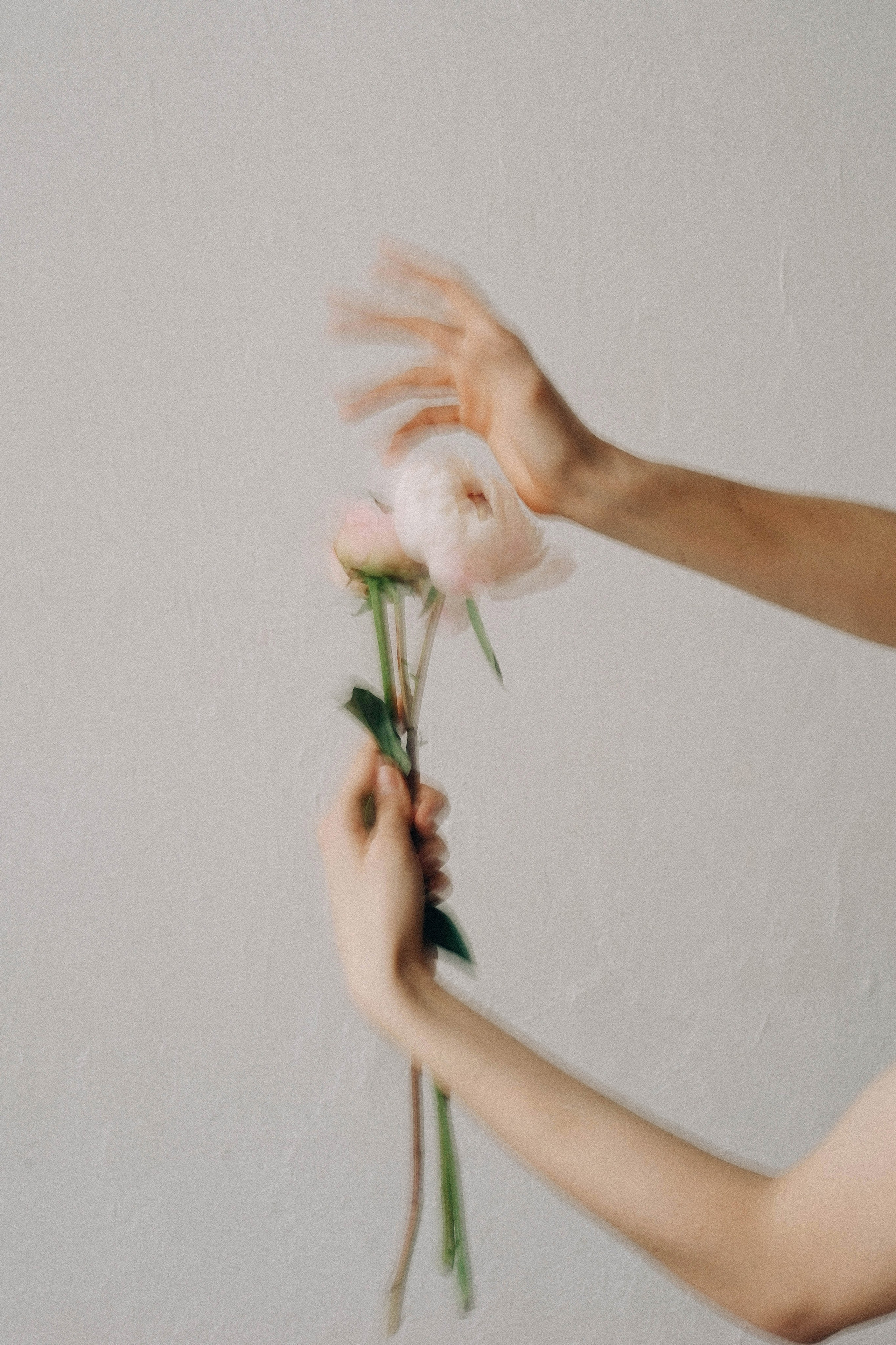 For candles brand SP.CANDLE. Ксения Копна. Фотограф из Санкт-Петербурга