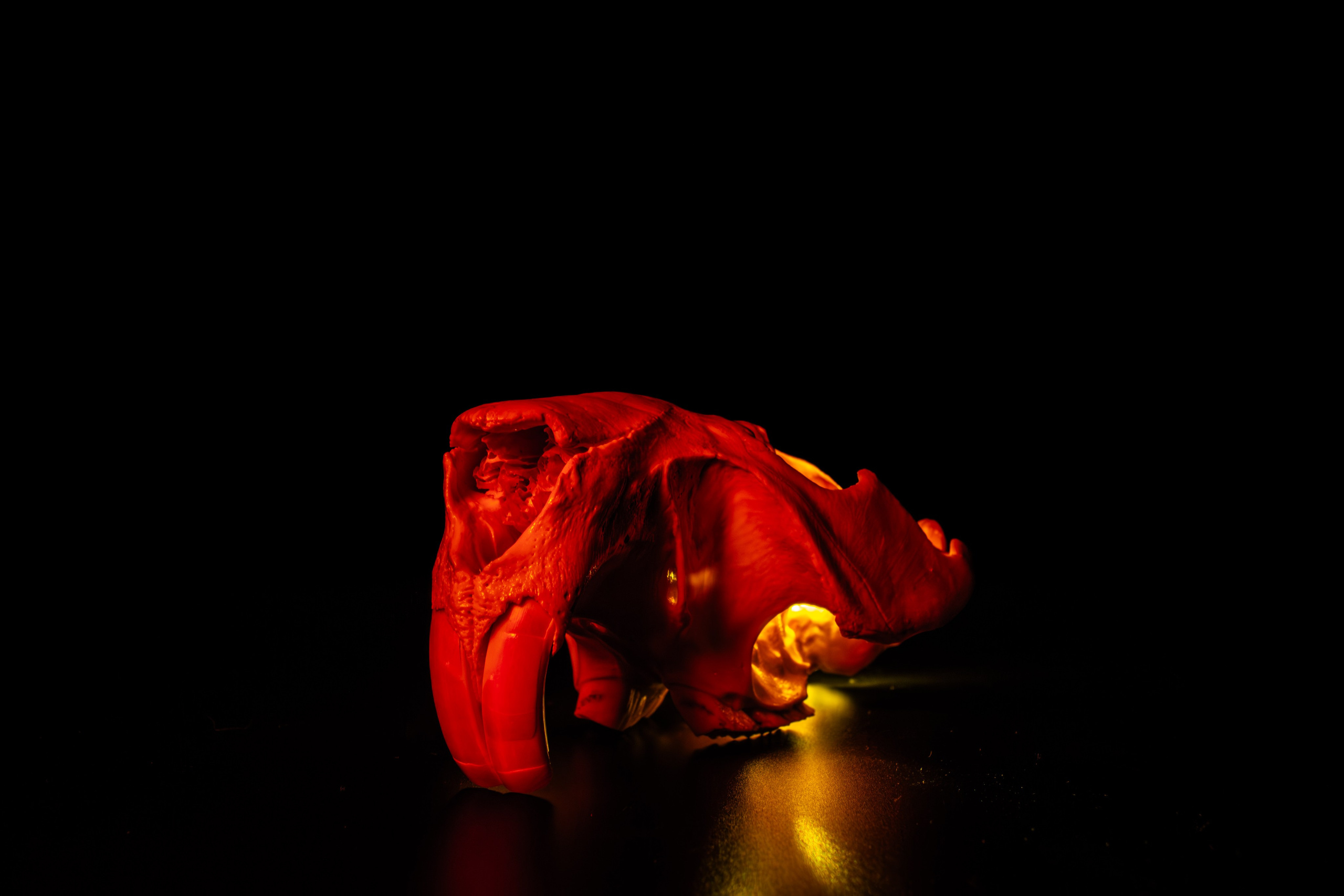 ПРЕДМЕТНАЯ СЪЁМКА. Фотограф в Москве — Олег Штыканов