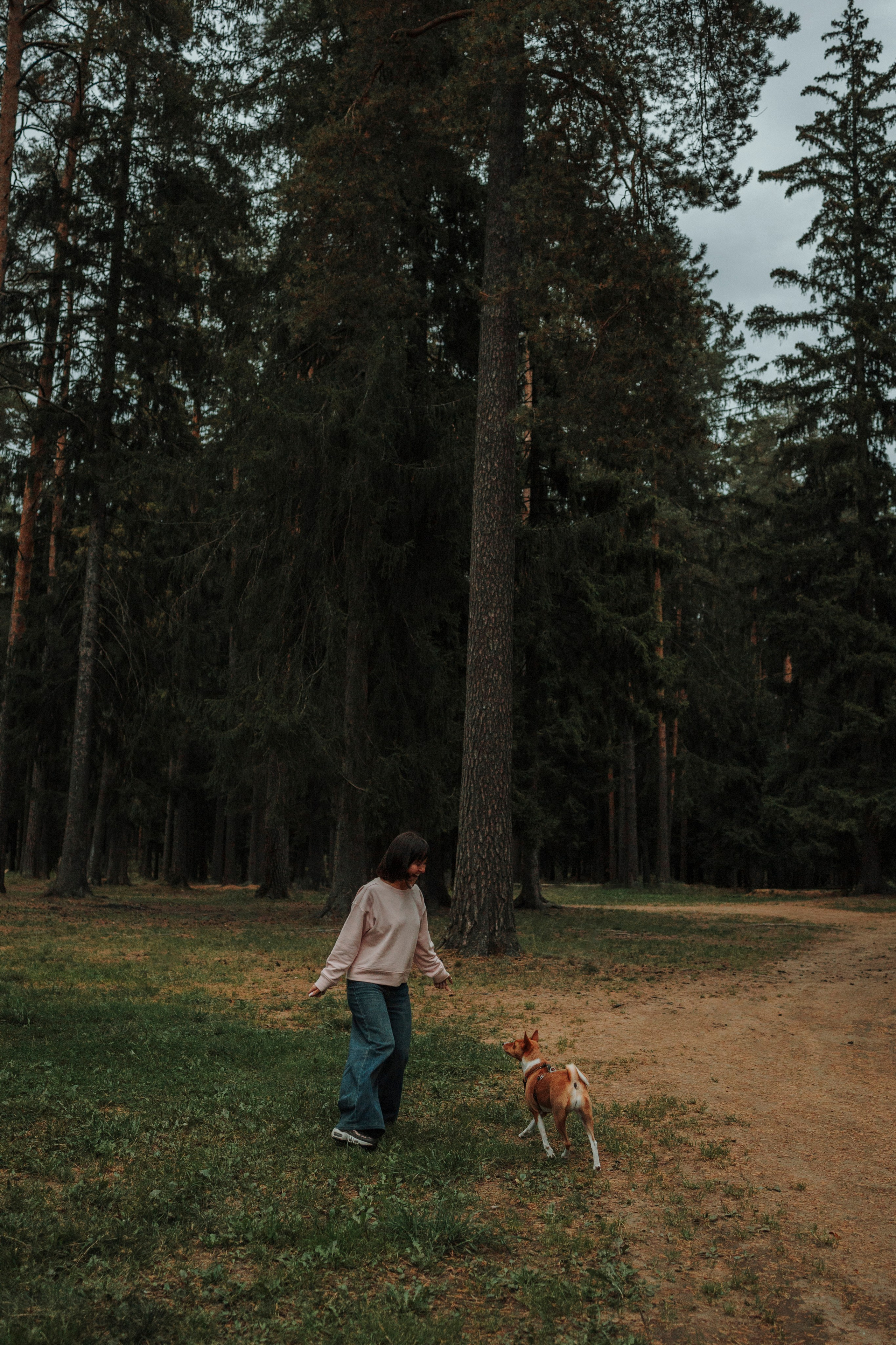 Даша и Лора. Фотограф-анималист в Санкт-Петеребурге Титова Алиса