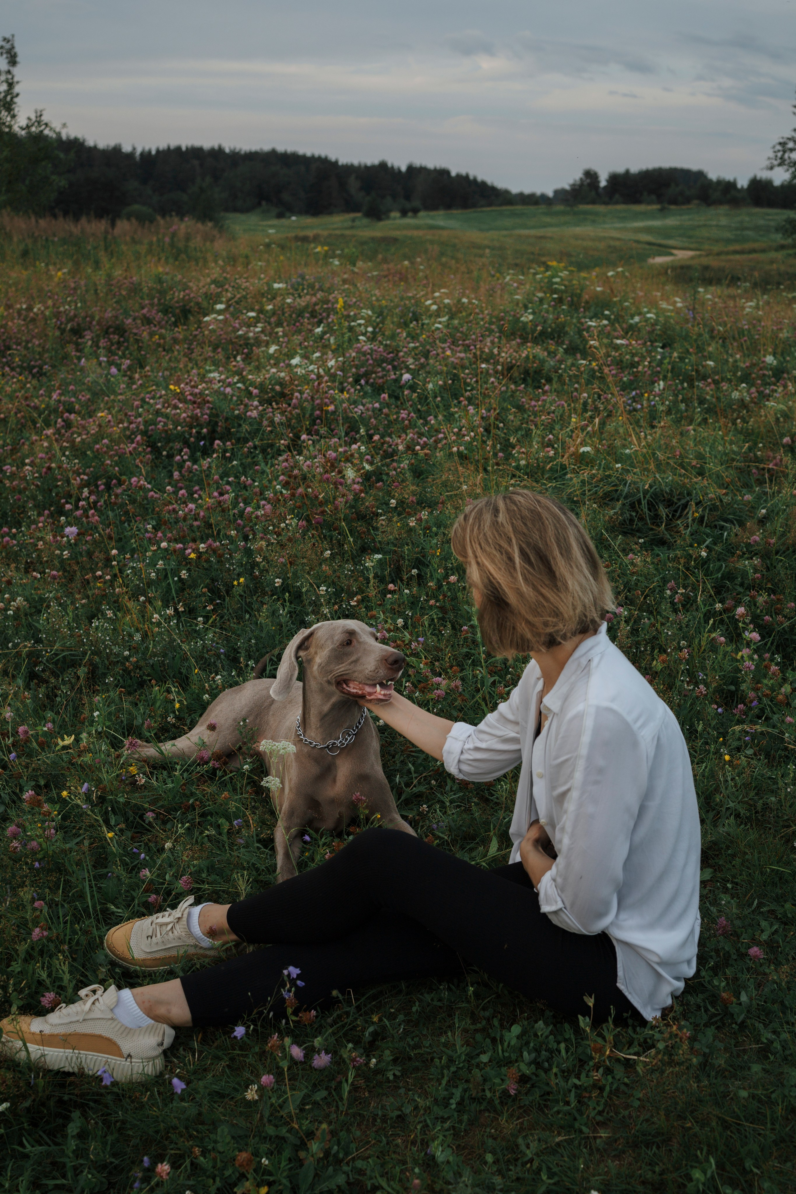 Маргарита и веймаранеры. Фотограф-анималист в Санкт-Петеребурге Титова Алиса