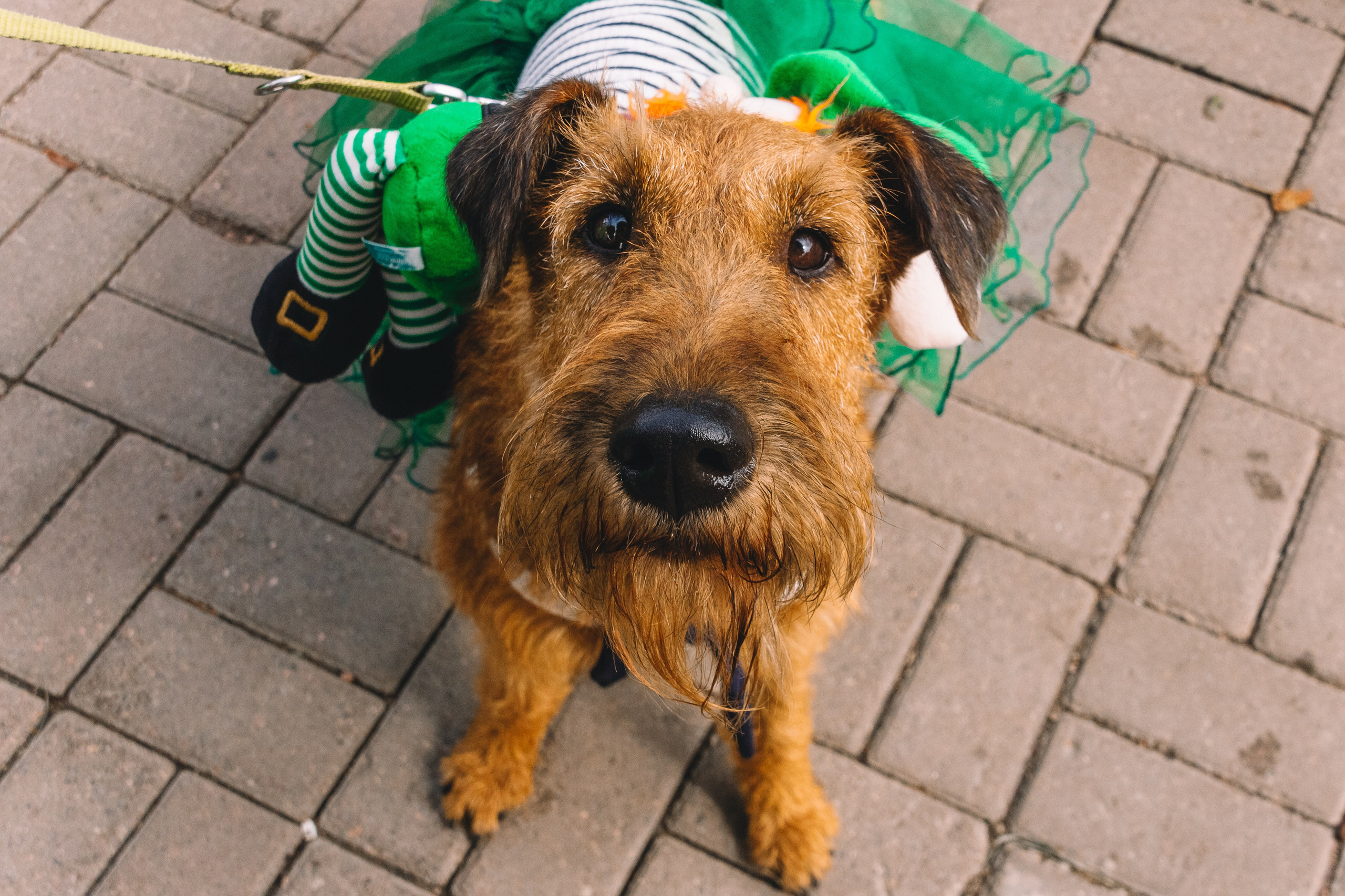 Фонтанка SUP 2 августа 2025 года. Семейный, Детский, Репортажный фотограф в Санкт-Петербурге Погодина Лю