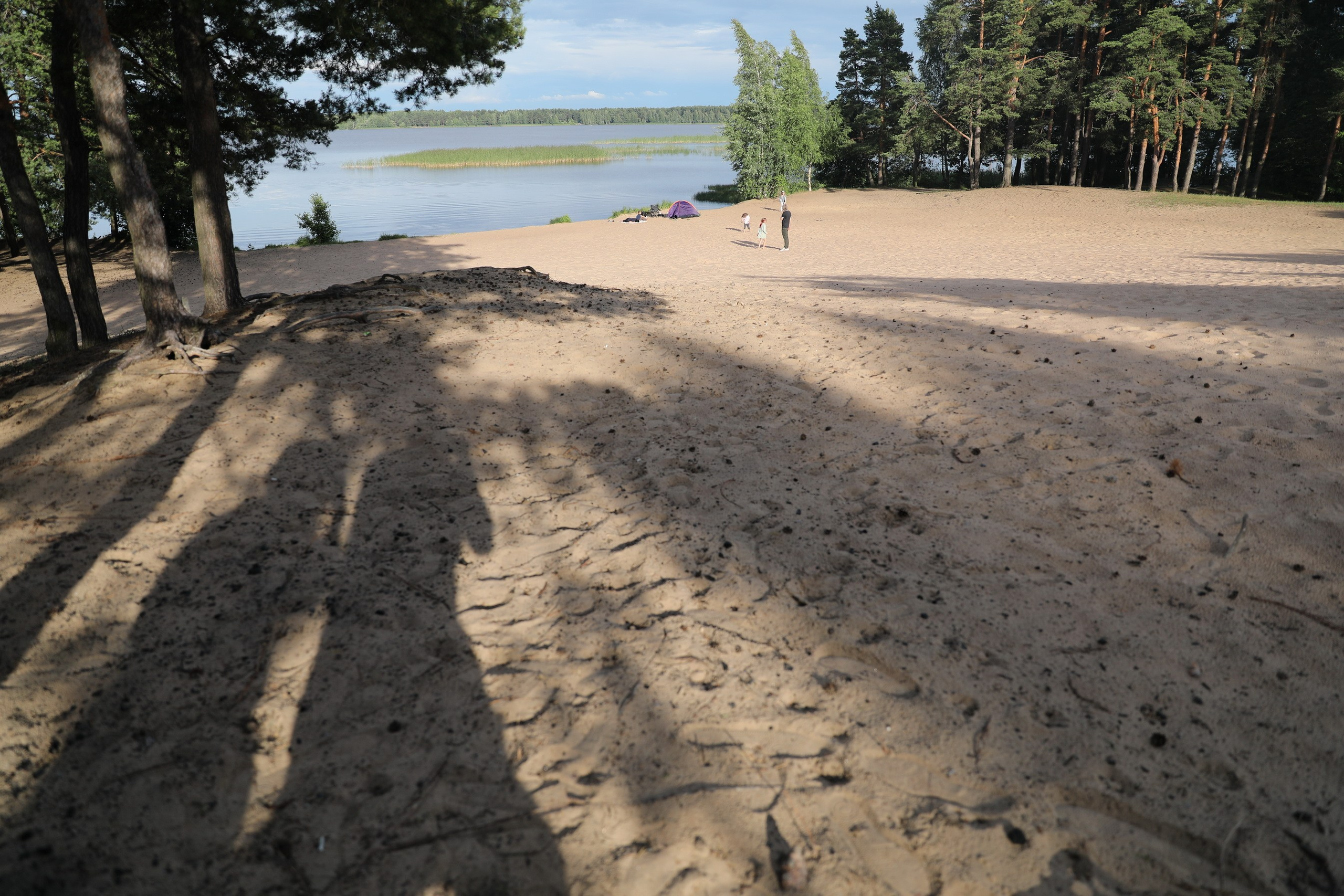 Пых 14 07 2020. Заставка