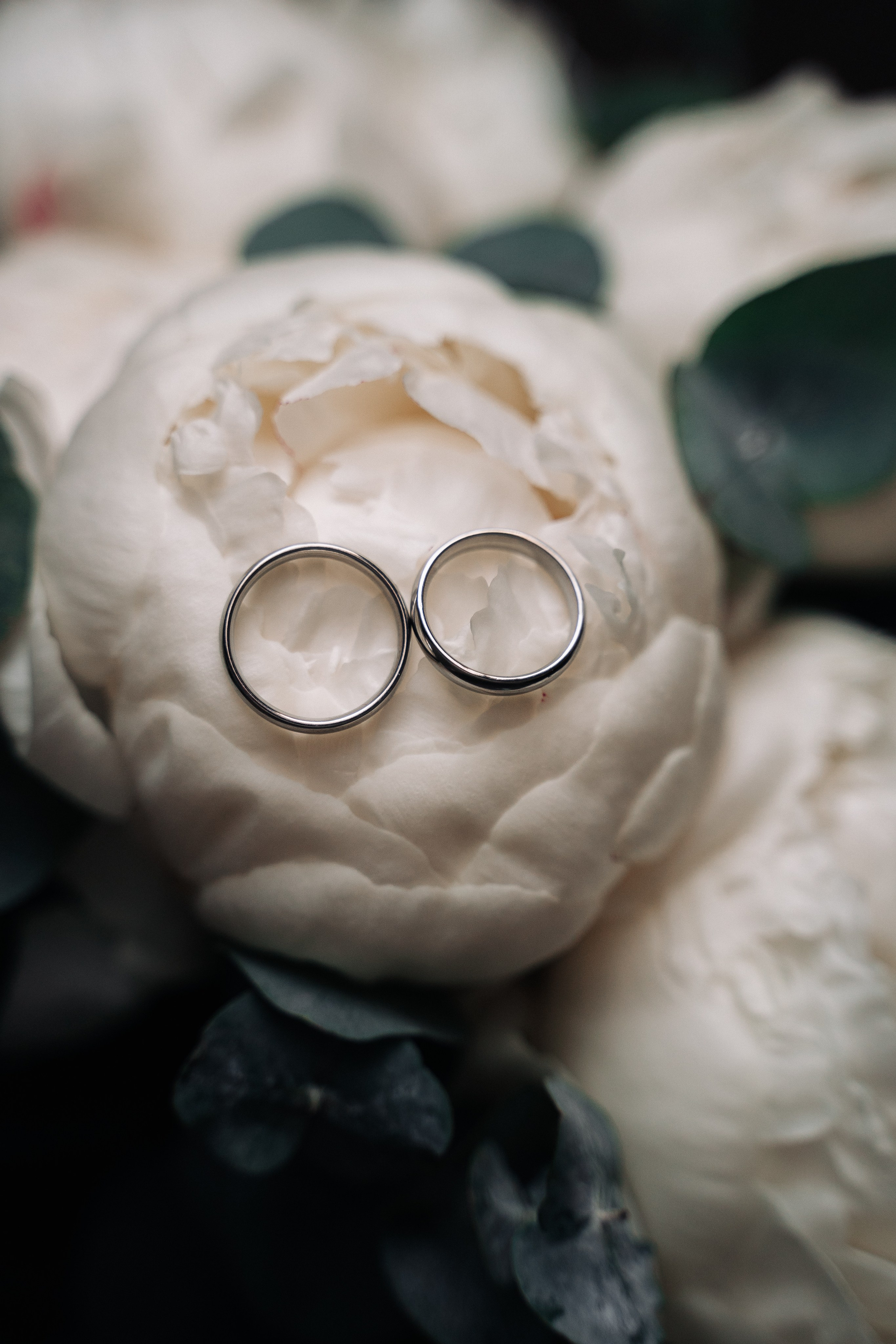 Павел и Ева. Свадебный и семейный фотограф в Москве и МО Геннадий Туманцев