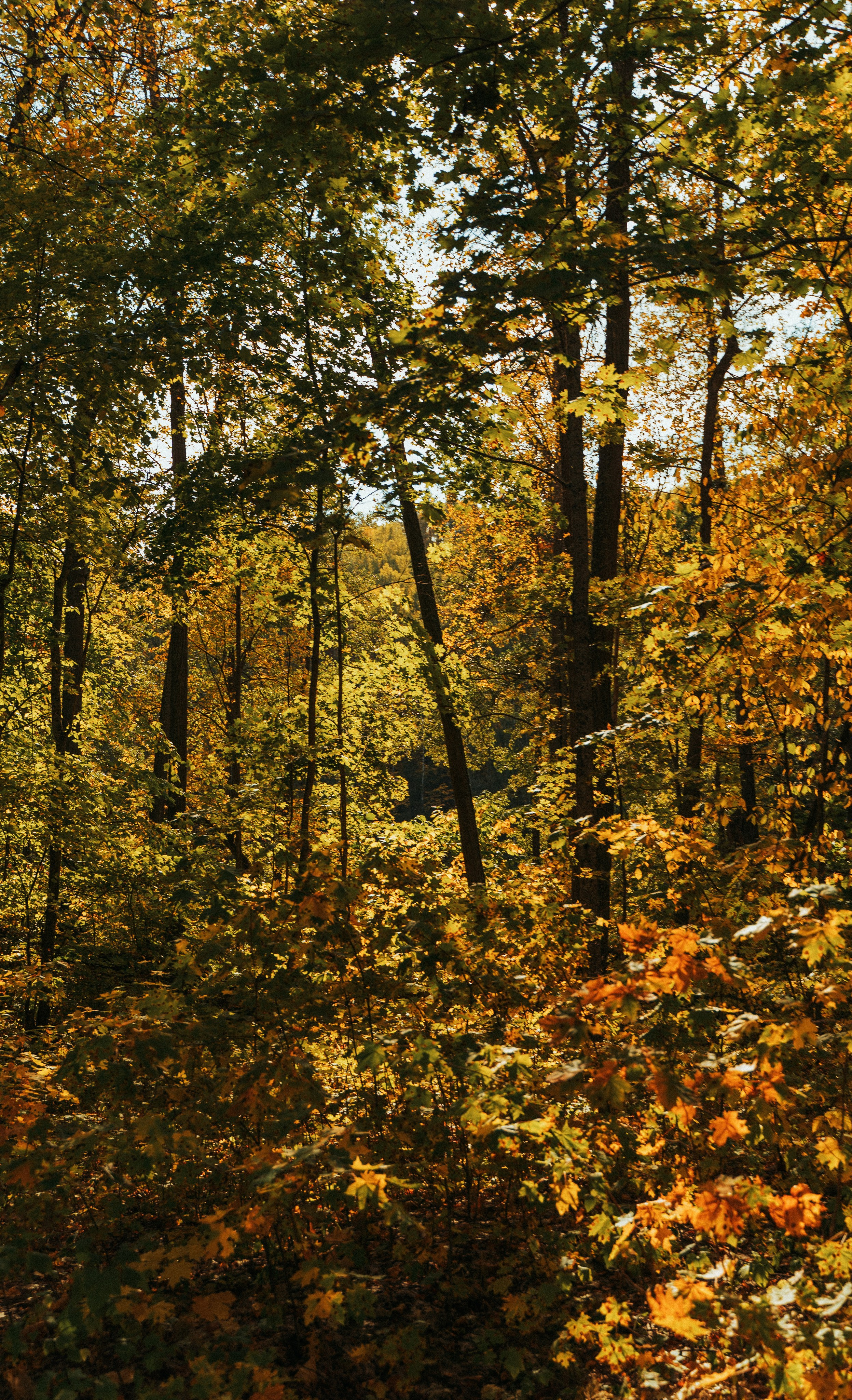 Good Friends Trip / команда локальных путешествий. Саша Копылов, фотограф в Казани