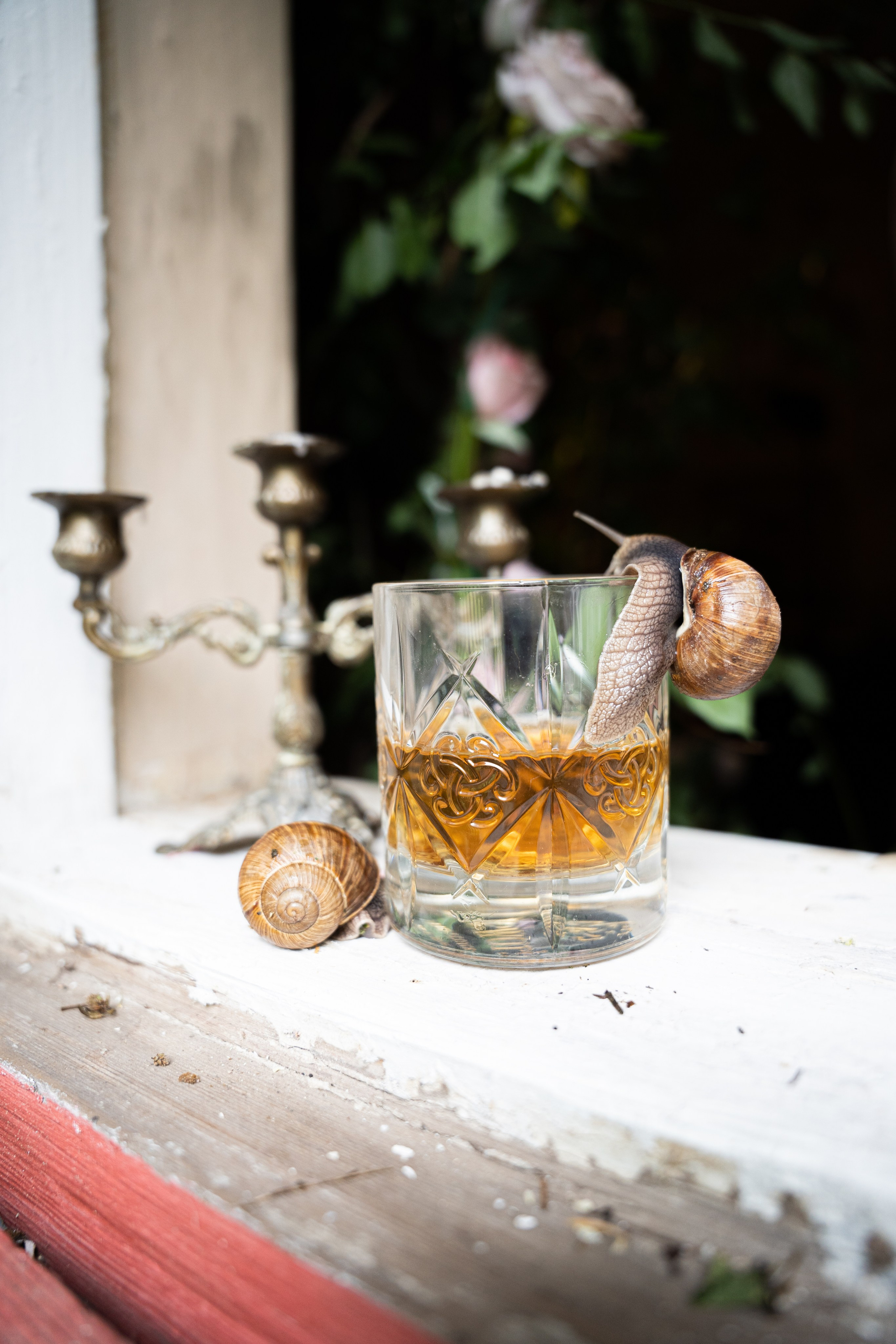 Мария ренессанс. Главная