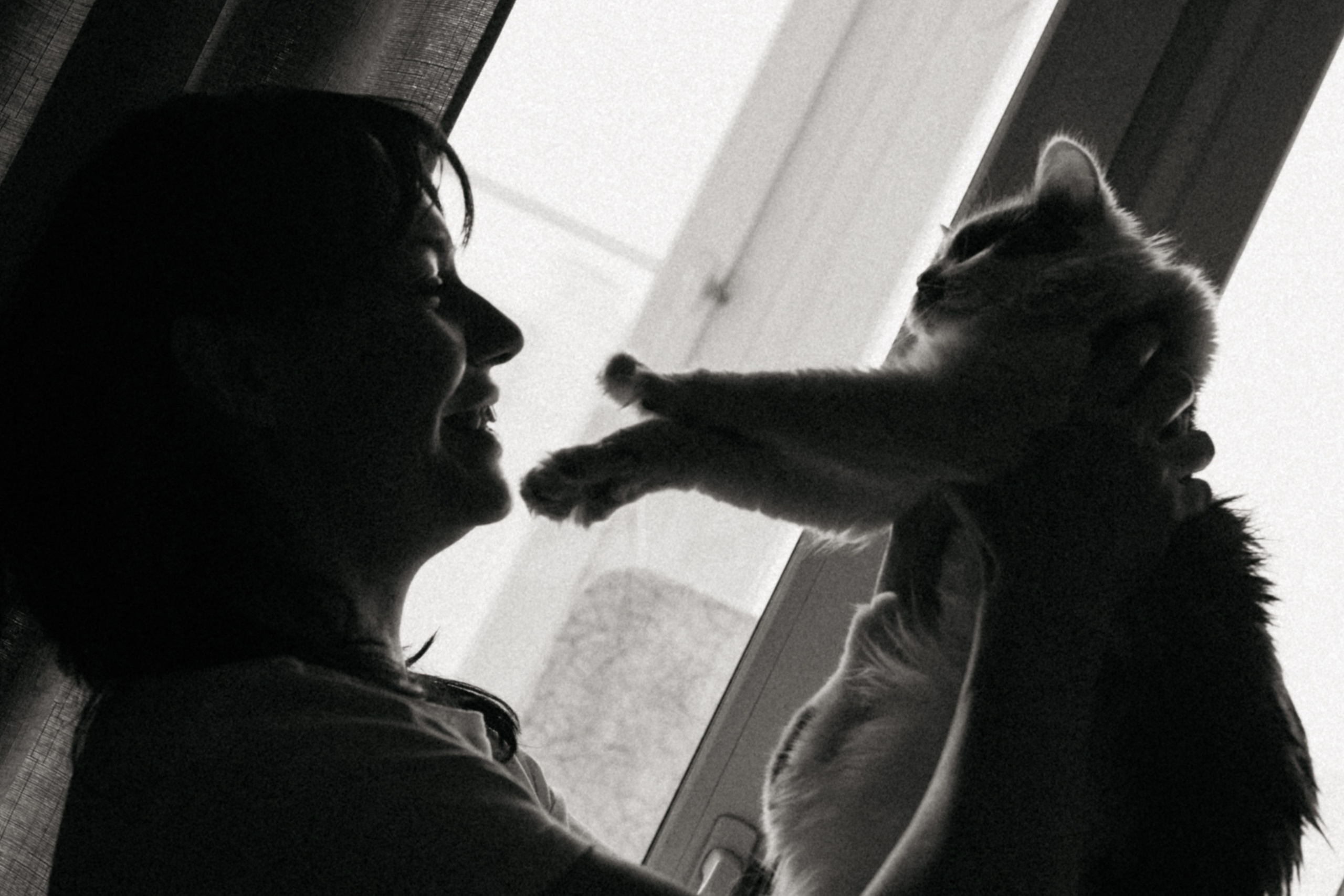 Оля и её меховая банда. Фотограф анималист в Москве Ольга Агушева