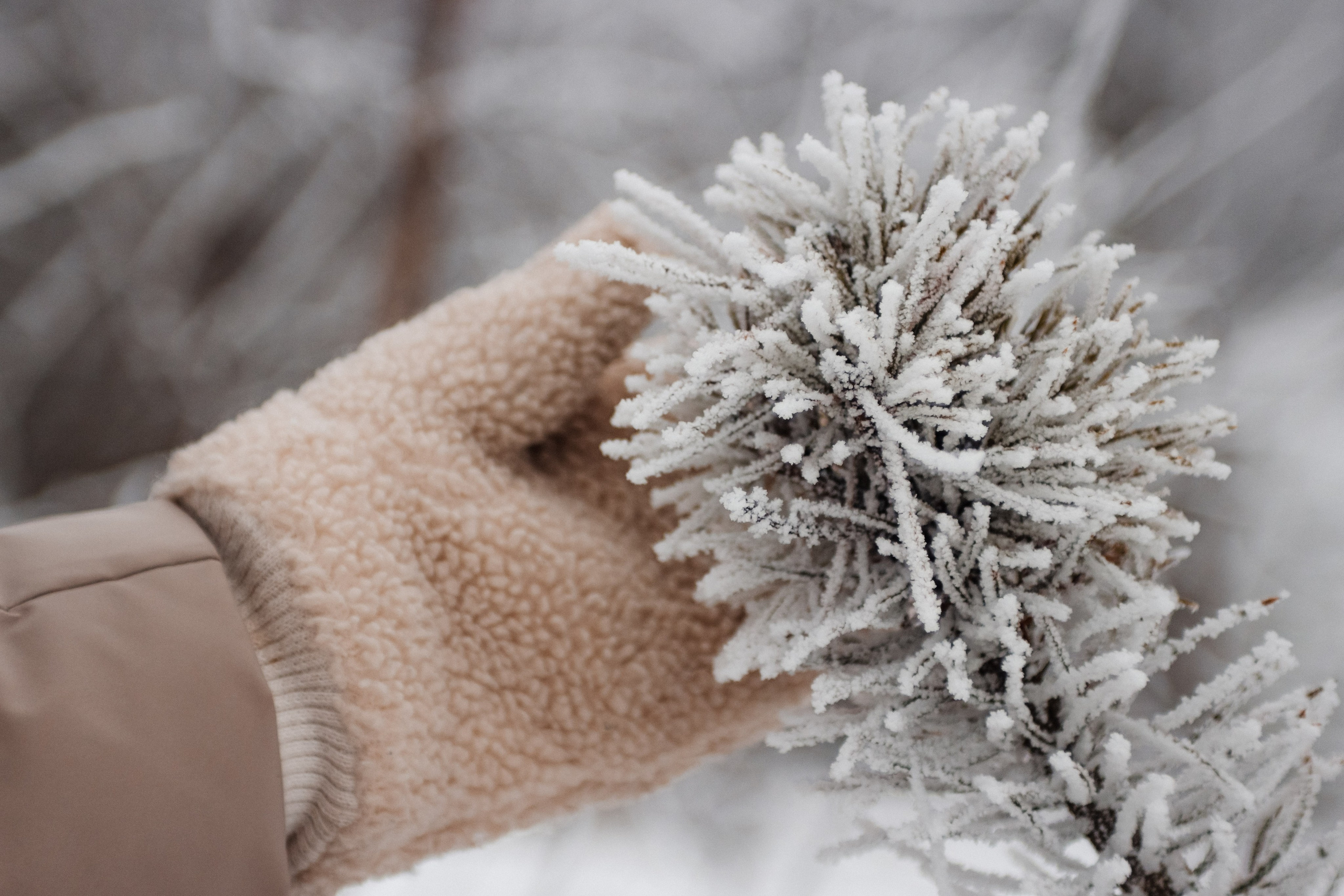 Anna E. Фотограф Артём Гусев