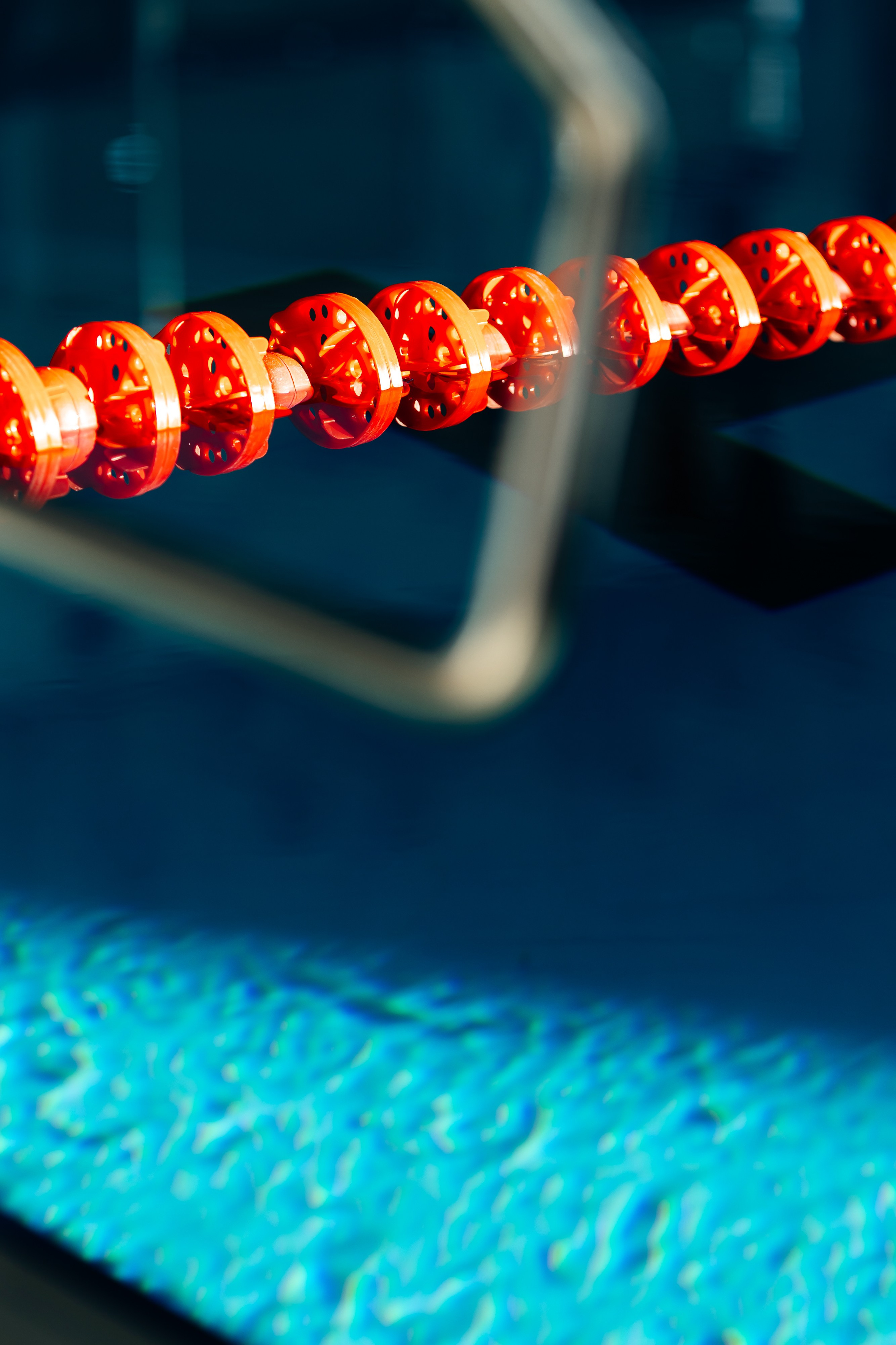 Школа плавания «Виктория». Свадебный фотограф в Краснодаре Николай Крауз