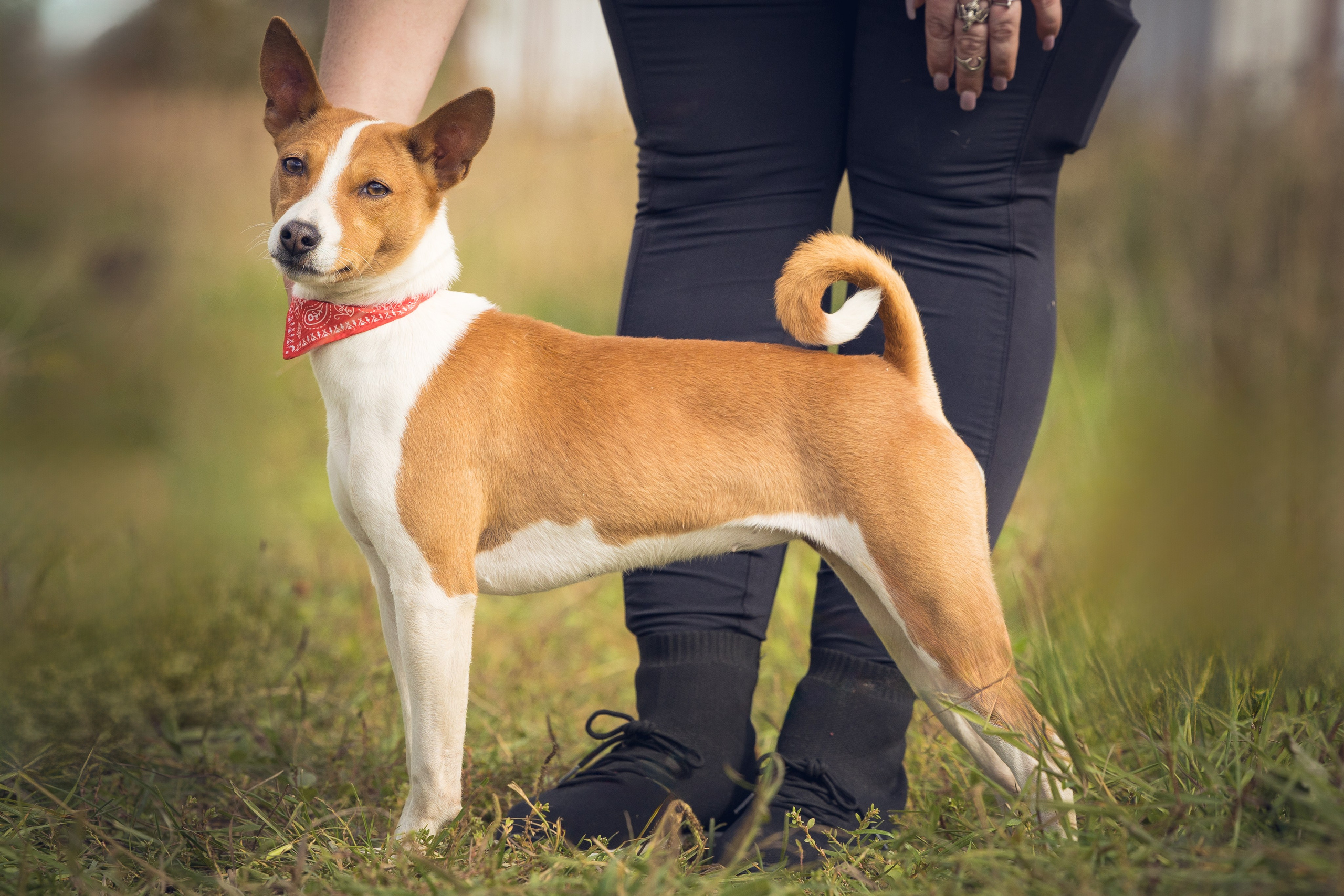В питомнике. Виктория Михайловская. Фотограф-анималист. Москва